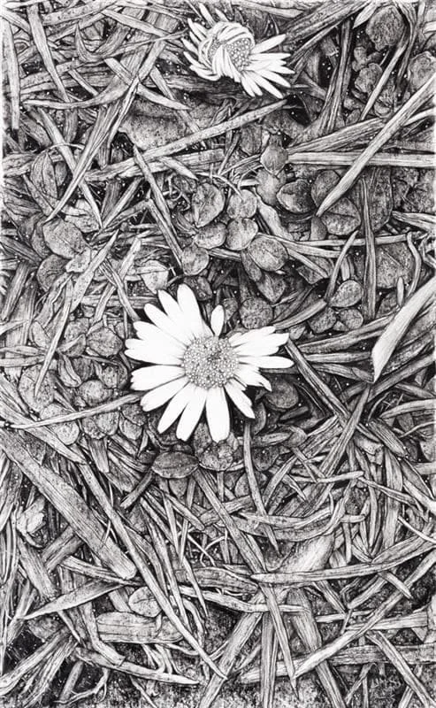 sandersoncontemporary-liam-gerrard-two-flowers-2015.jpg