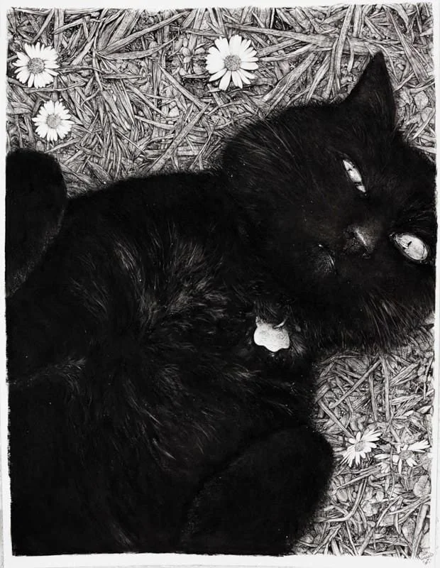 sandersoncontemporary-liam-gerrard-leroy-2015.jpg