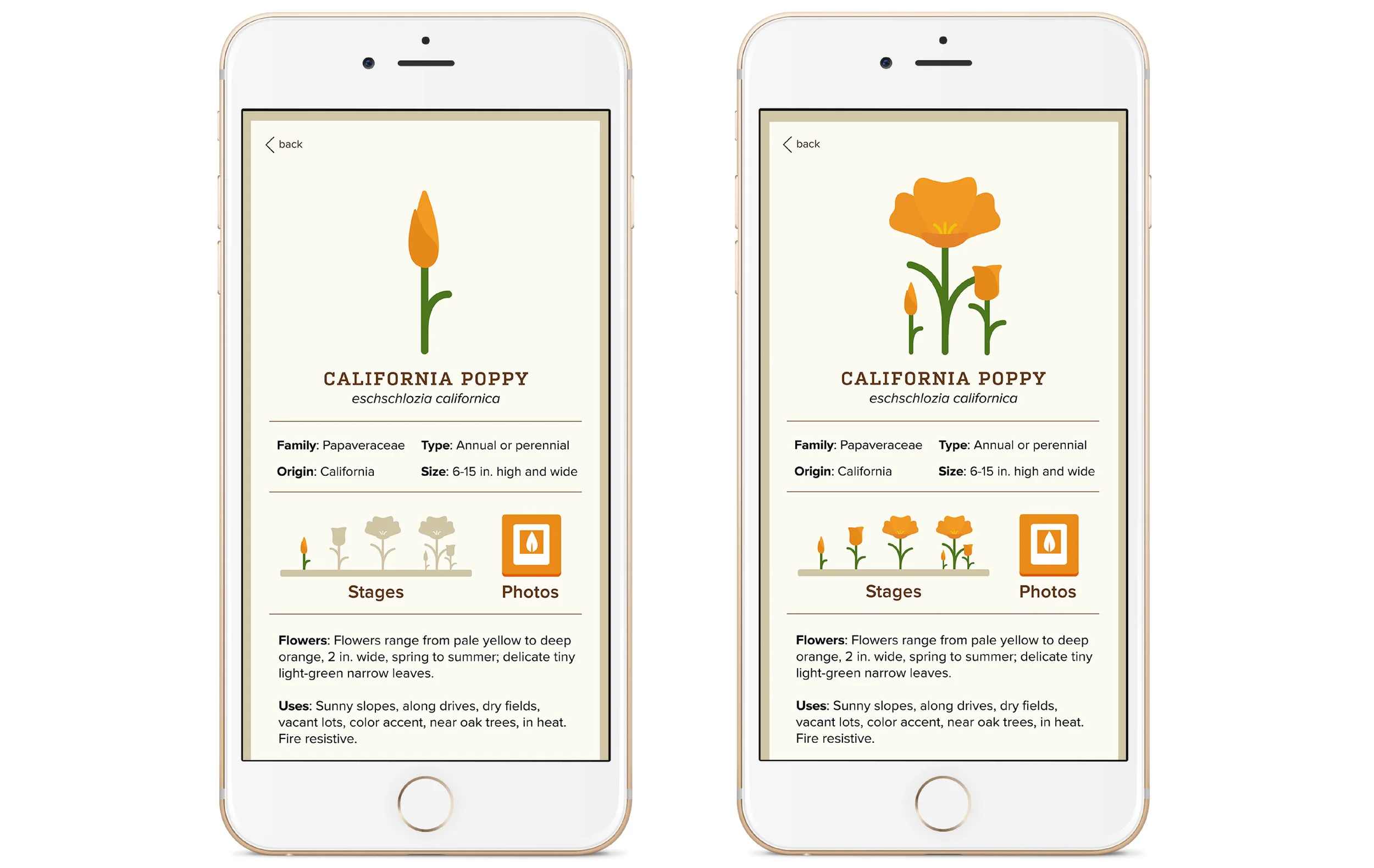 Plant App Presentation-13.jpg