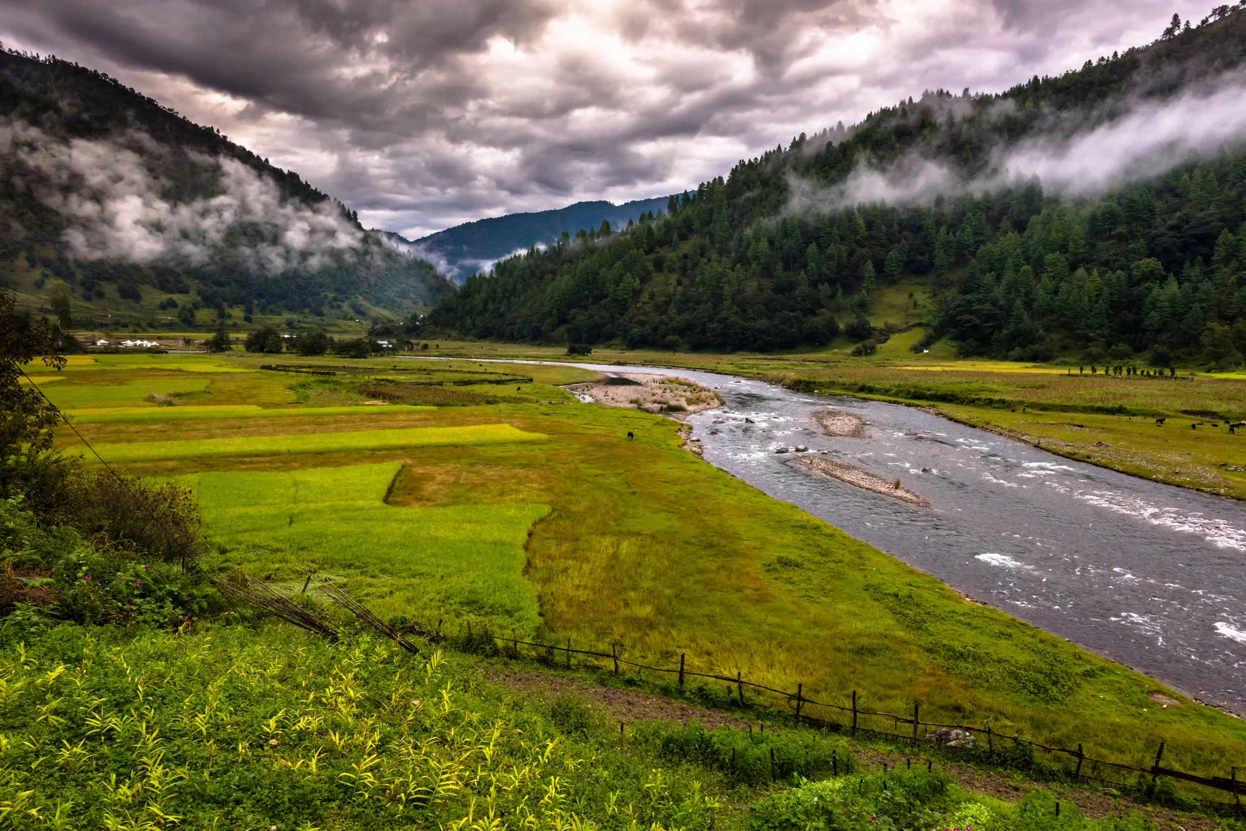 Valley view