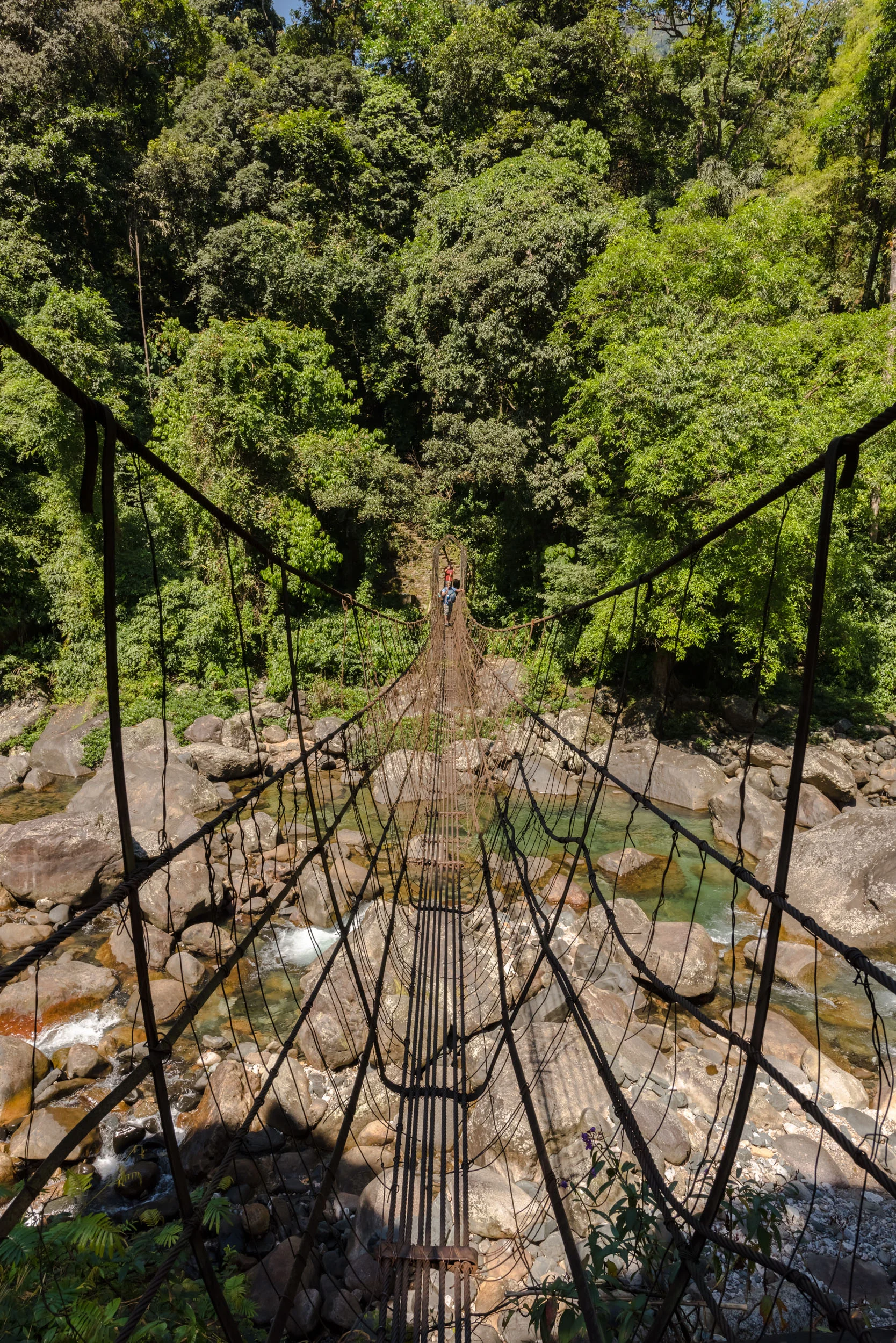 Double Root Bridge Journey 3.jpg