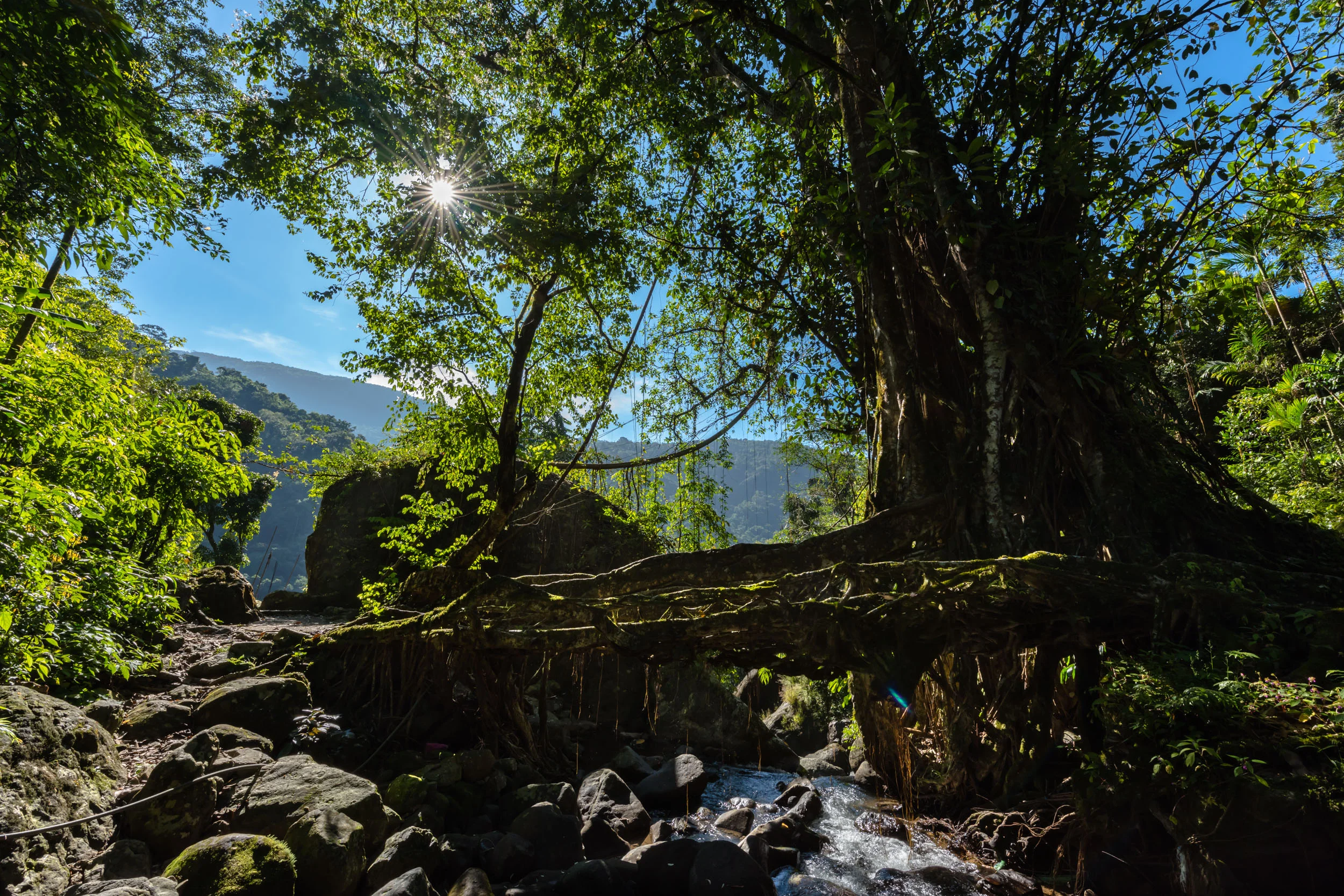 Double Root Bridge Journey 4.jpg