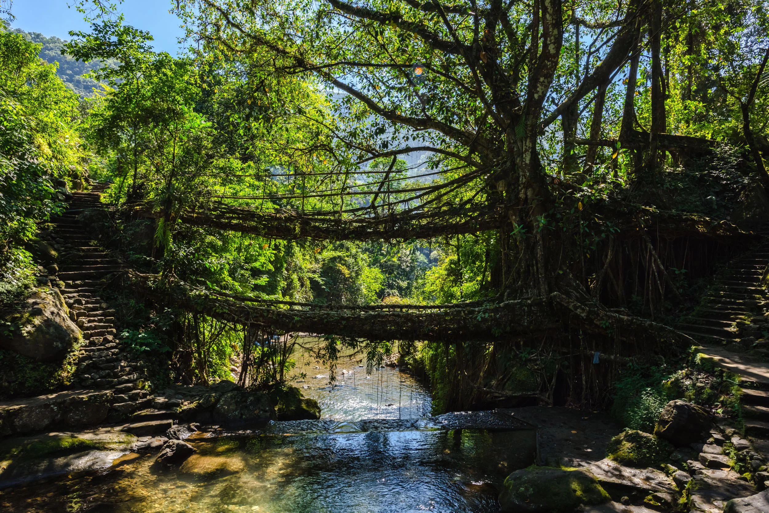Double Root Bridge Journey 5.jpg