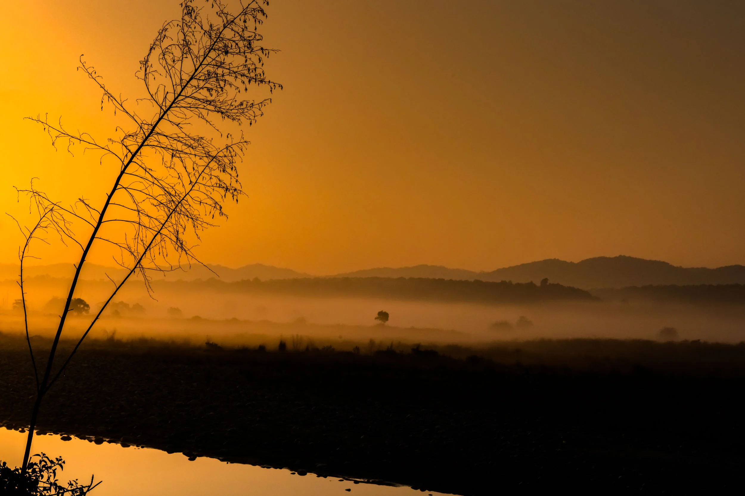 Sunrise with fog on river bank of Ramganga