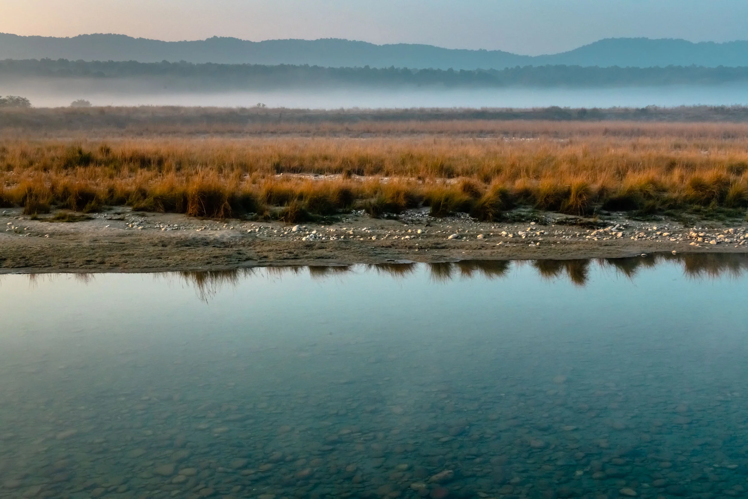 Reflections in Ramganga river flowing through Corbett Park
