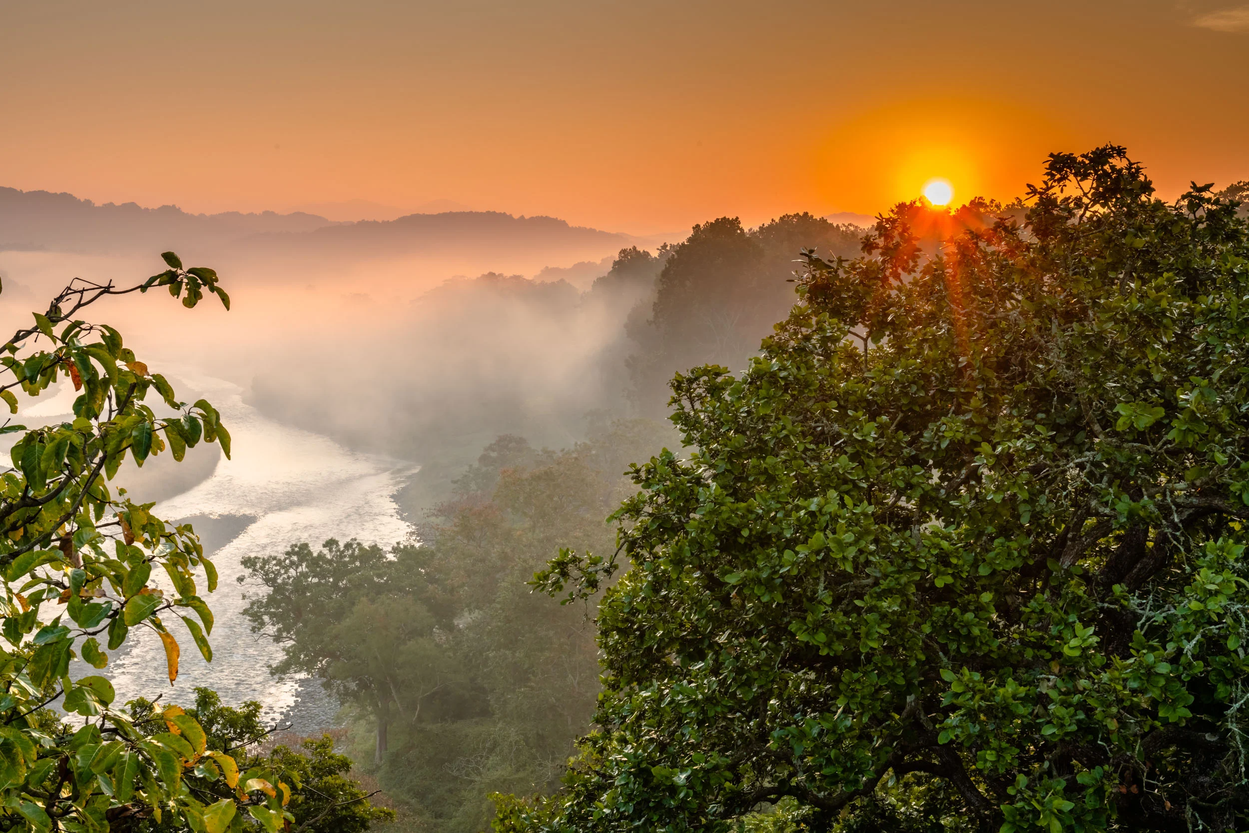 Sunrise from Machan