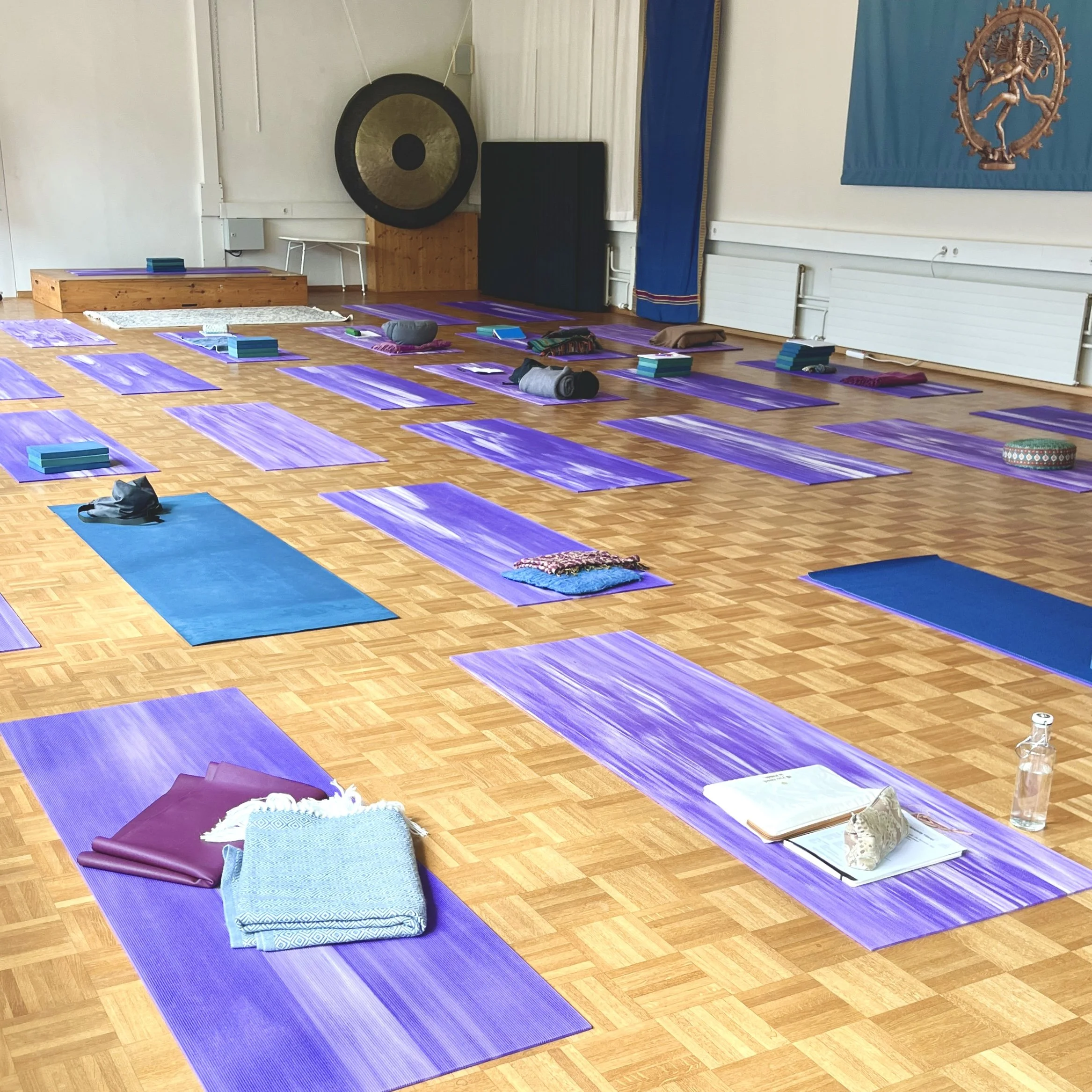 Yoga anatomisch verstehen: Meine wichtigsten Erkenntnisse aus einer Weiterbildung