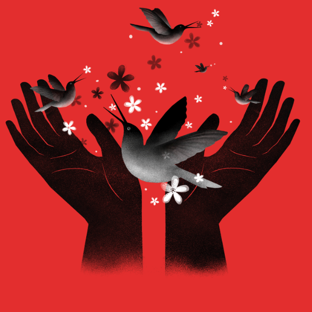 Screenshot RED square.png