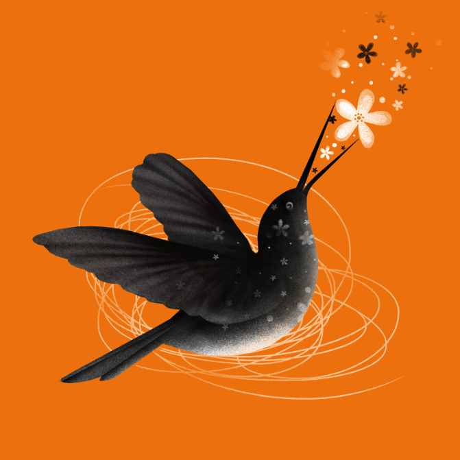 Screenshot Orange sqaureAM.png
