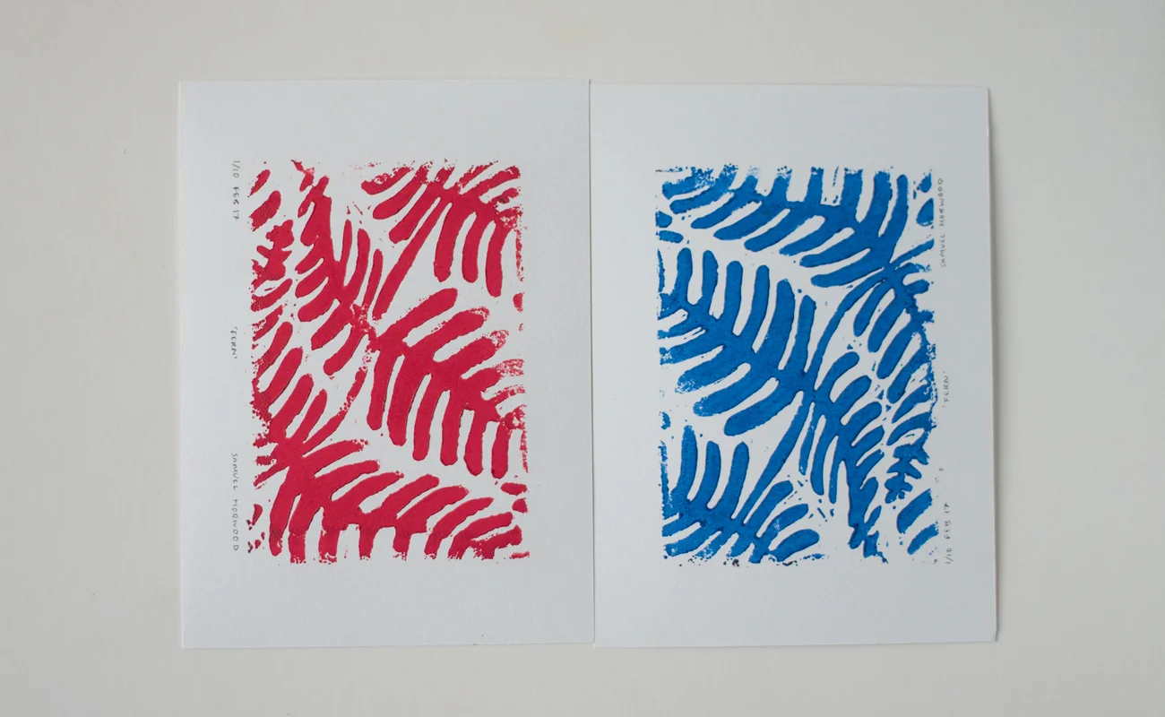 ferns-box-2.jpg