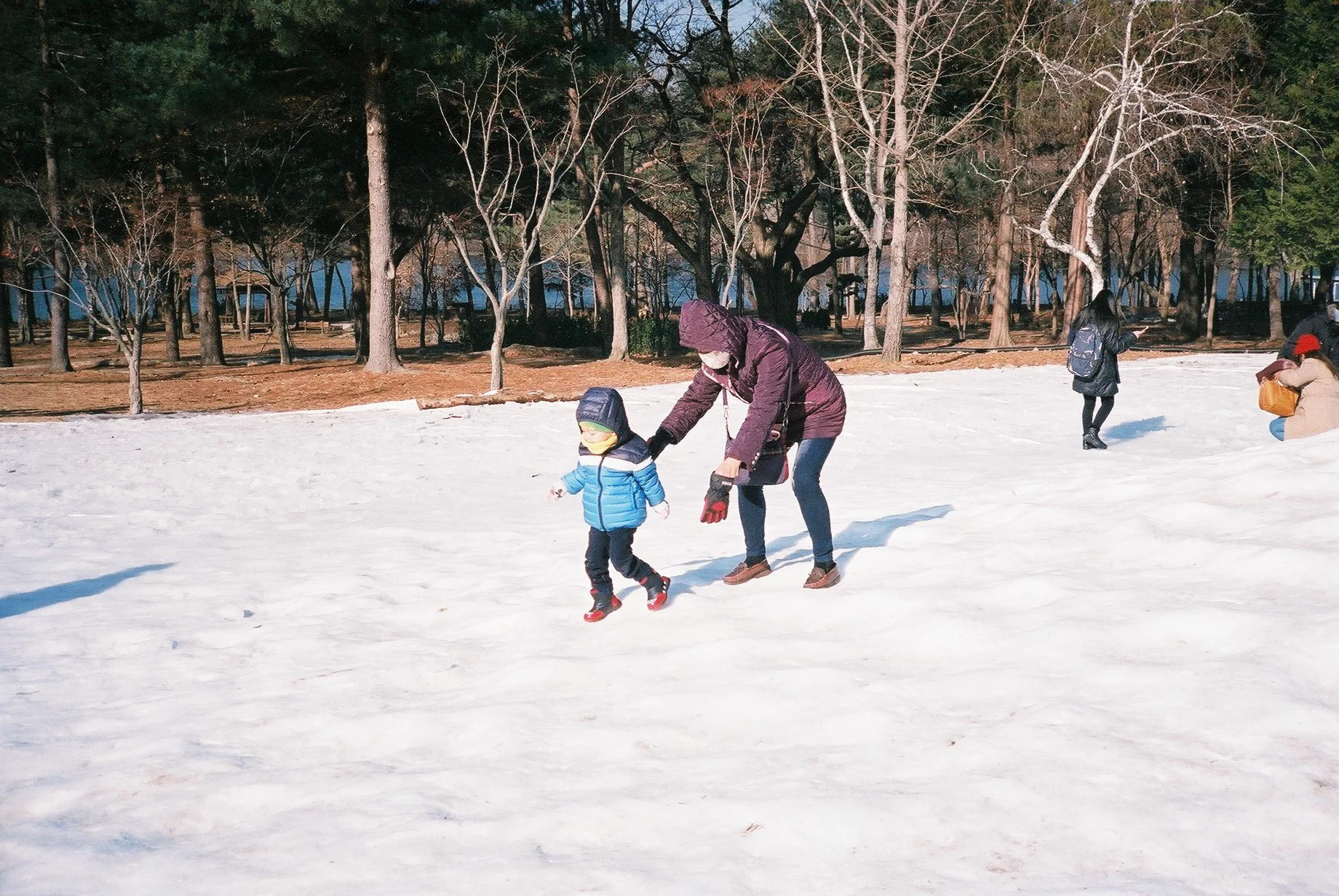 Nami Island 