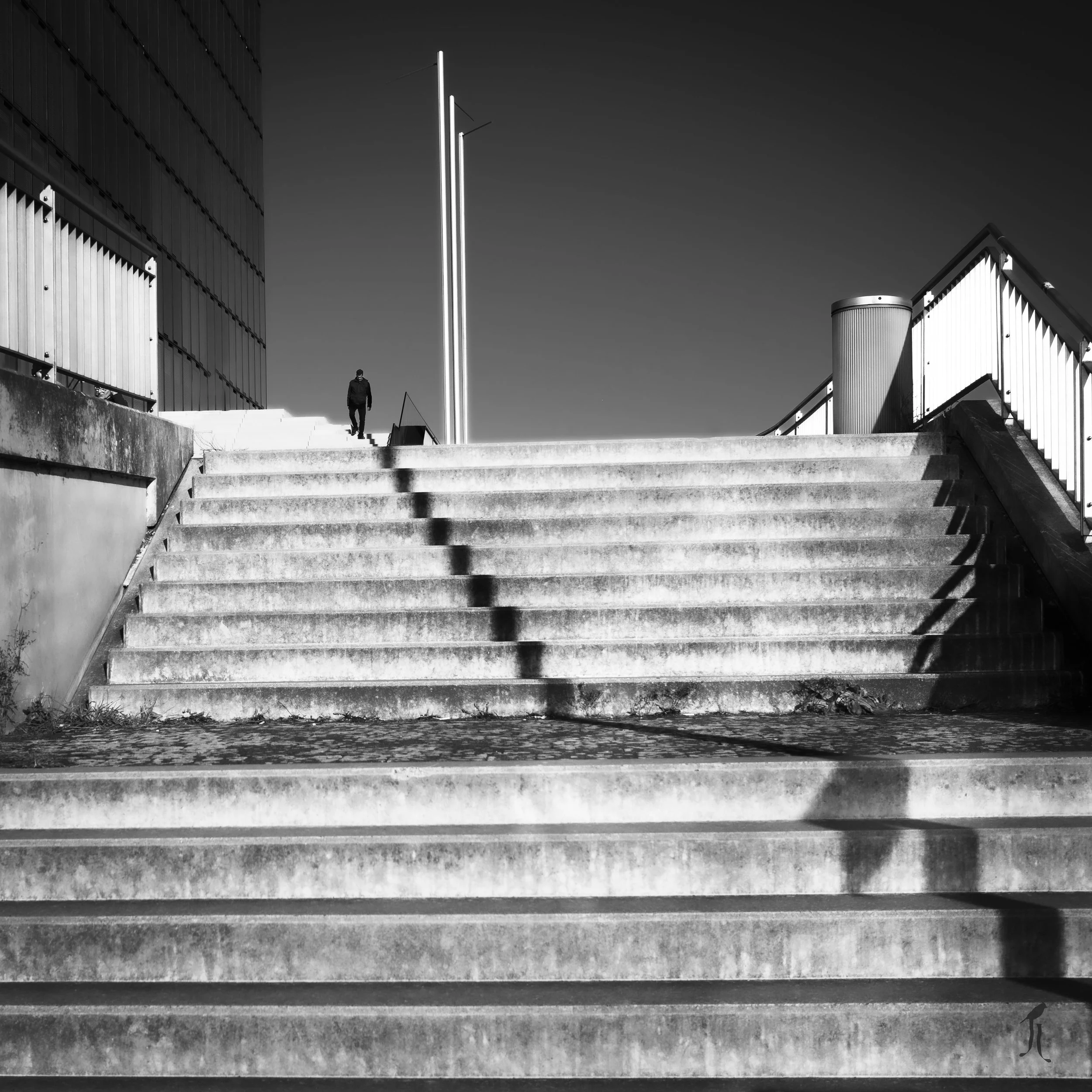 L1001433.jpg