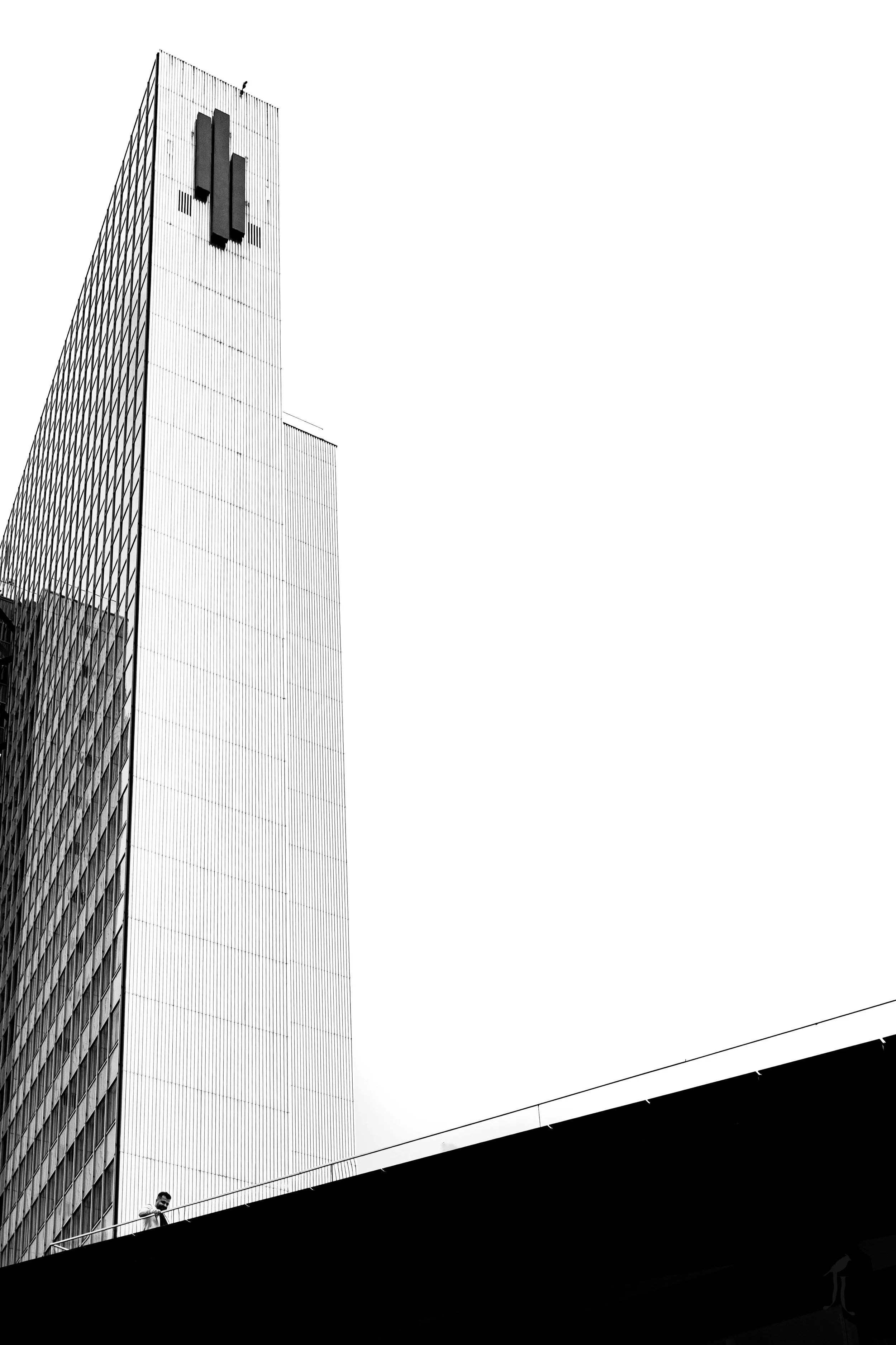 L1001133.jpg