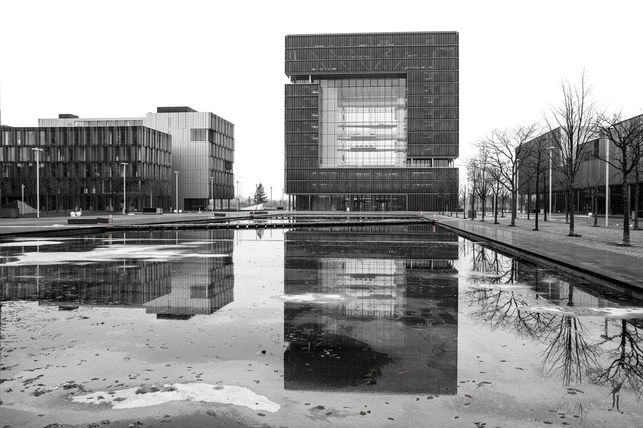 L1001210.jpg