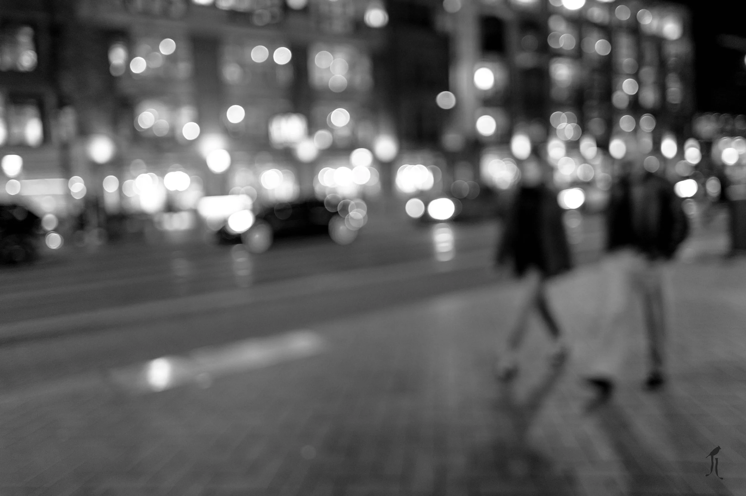 L1041263.jpg