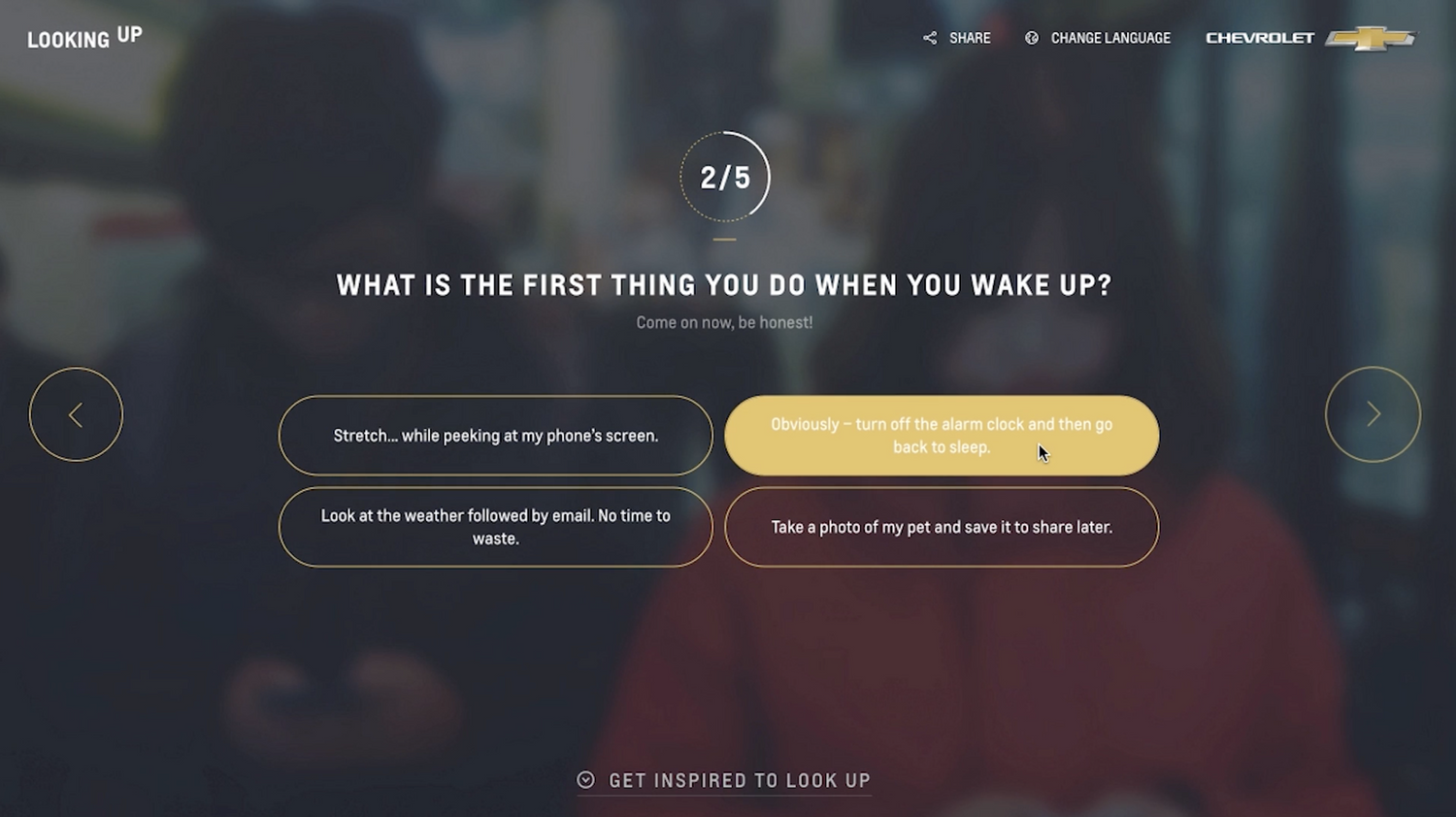 lookingupwebsite-1.png