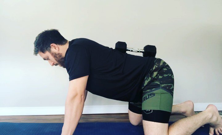 I find that mobility work in the quadruped base position often leads to compensations in the lumbar and thoracic spine. A cue I have found to be extremely beneficial in avoiding this is &ldquo;spreading&rdquo; the floor with the hands and knees. In d