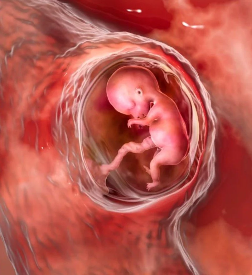 Women’s Reproductive Rights and the Labor Market  