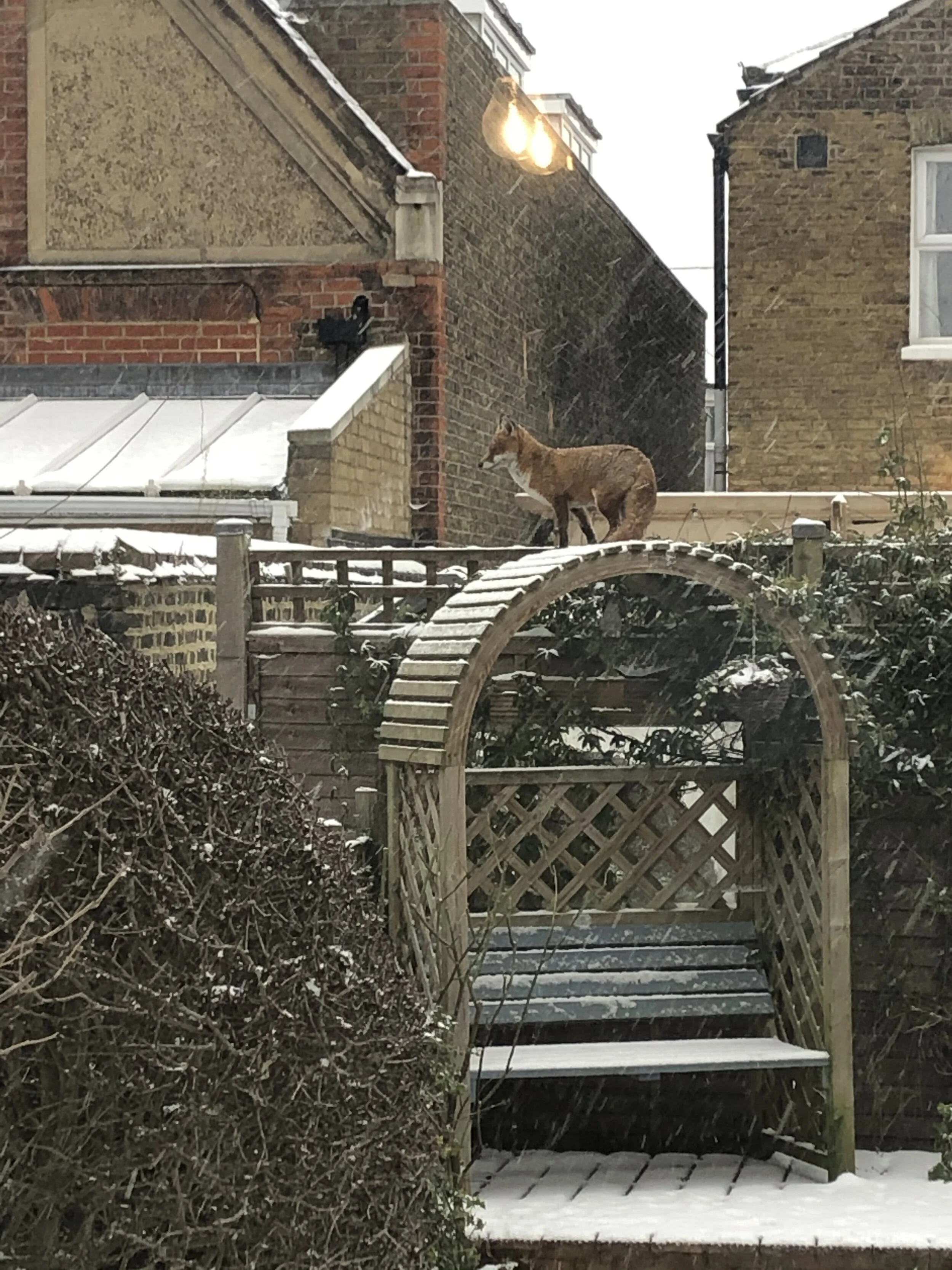 Welcome to The Author's Garden