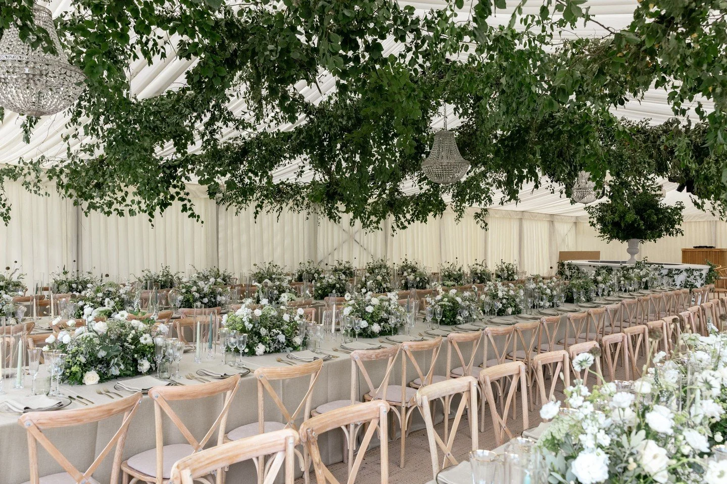 Reception ready. Long tables, soft tones, and suspended foliage 🍾⁠
⁠
⁠
⁠
⁠
⁠
Planner &amp; styling: @oliveskyevents⁠
Lighting &amp; sound: @pr_live_⁠
Florals: @augustaflorals⁠
Catering: @hibiscusfood⁠
Photography: @lucy_davenport⁠
DJ: @pips_taylor⁠
