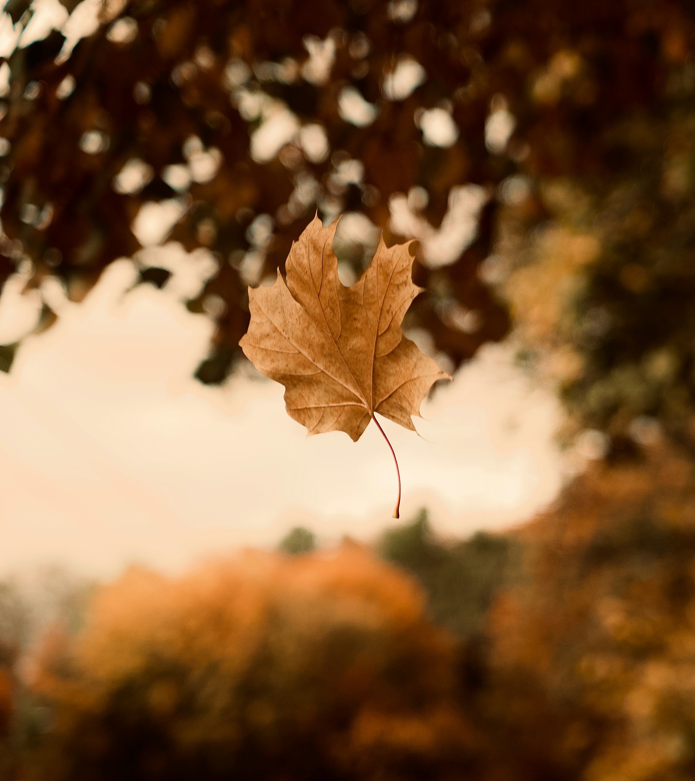 unsplash-image-0vK9D0PviA8.jpg