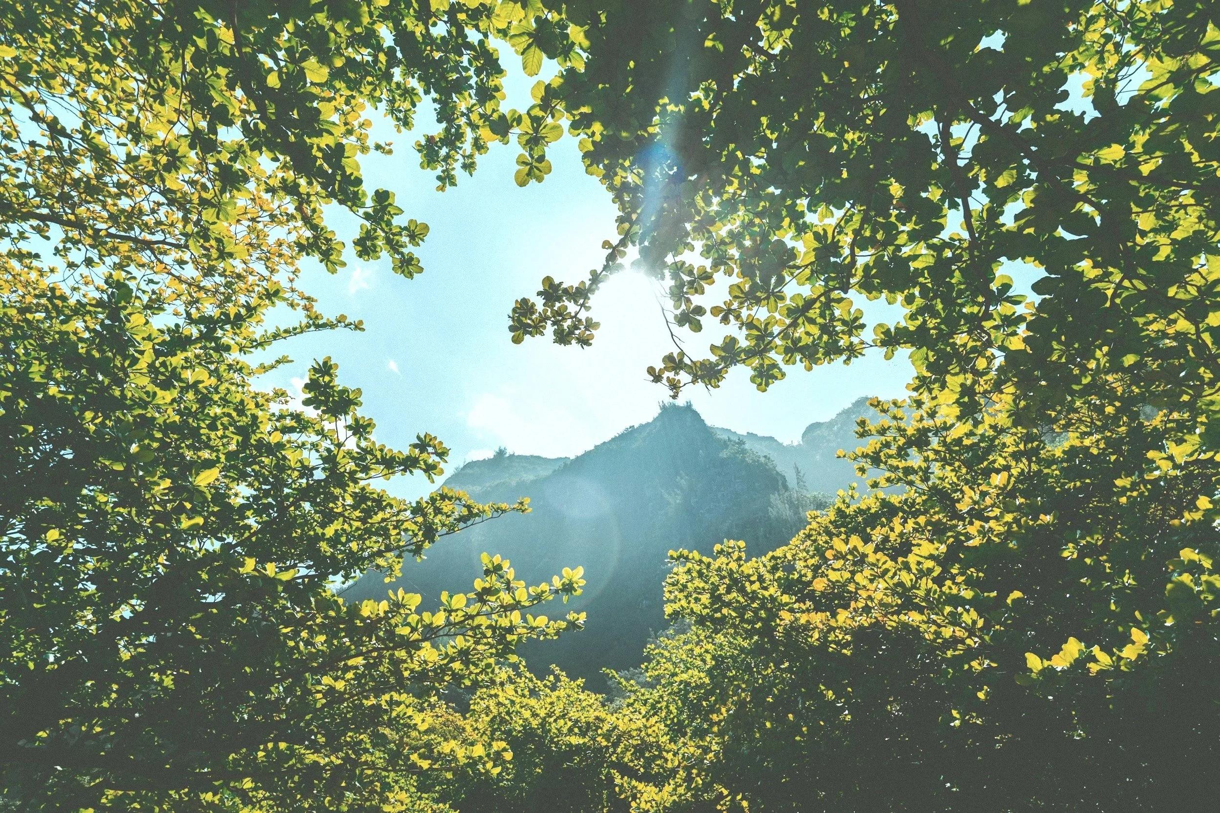 unsplash-image-mORI_wfWvLI.jpg