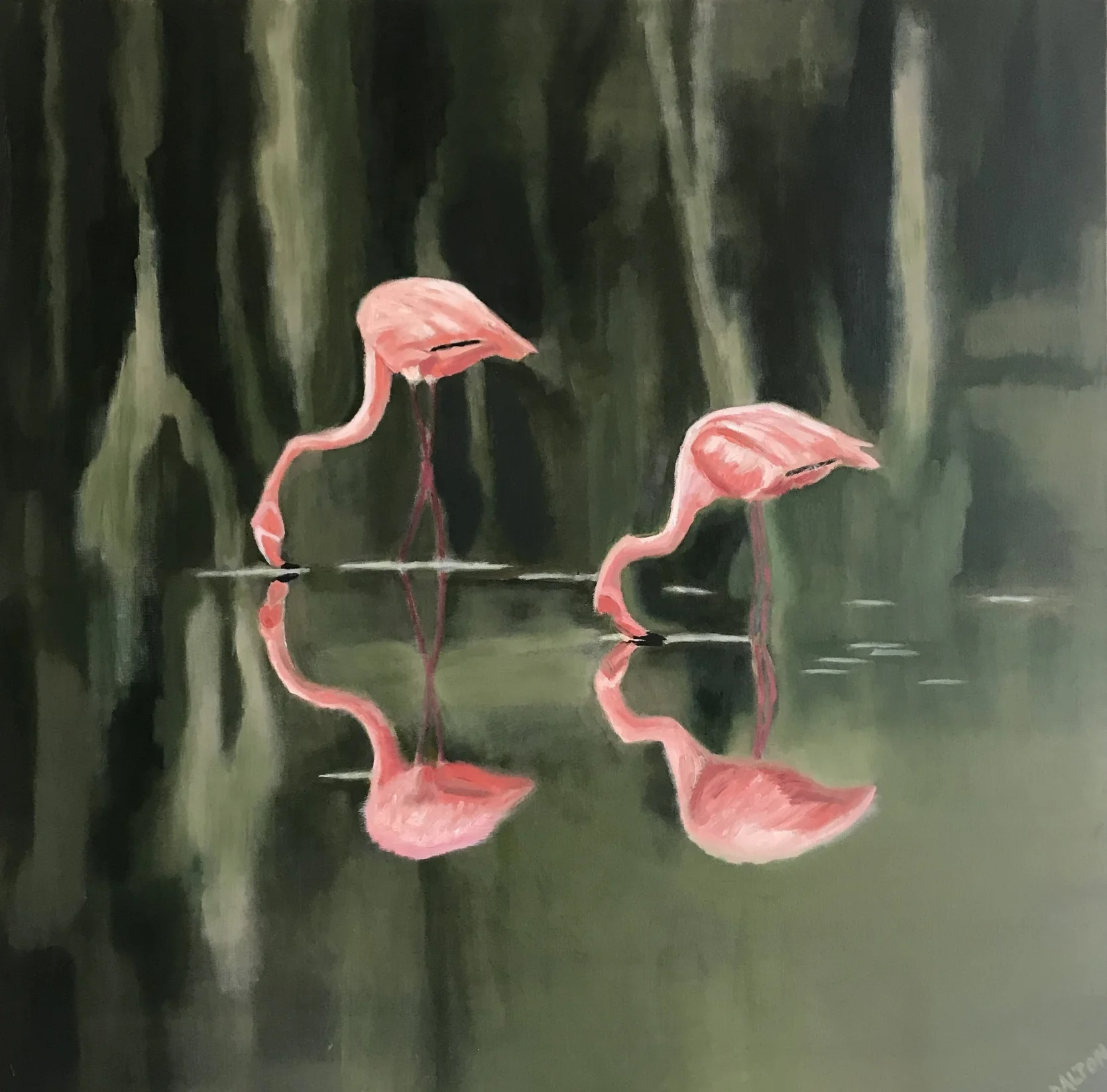 Flamingos of via Cappuccini