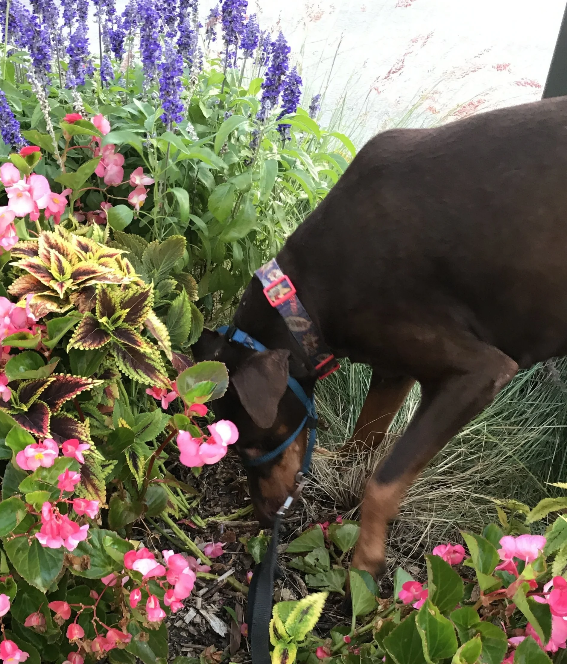 To Save and Commemorate