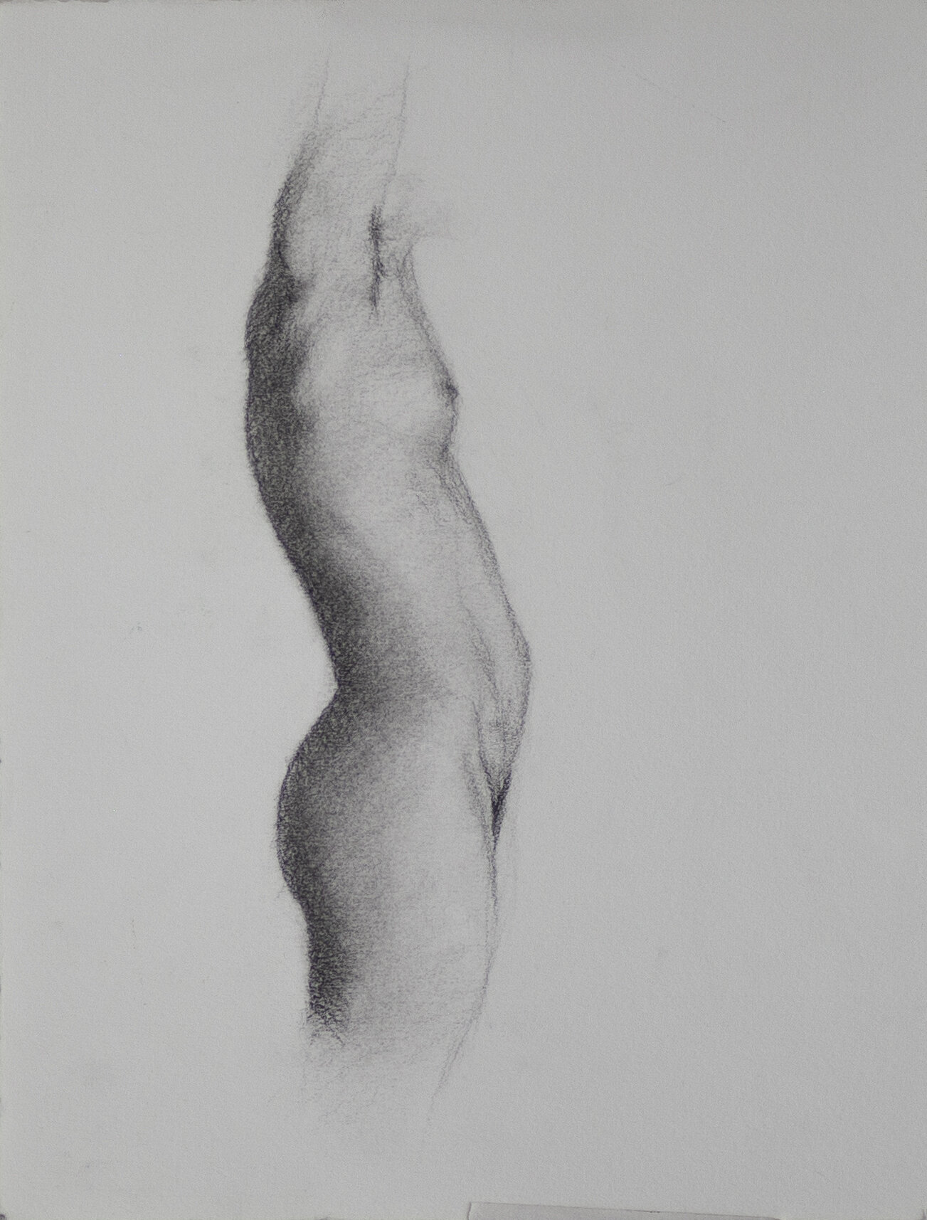 Torso Study 2