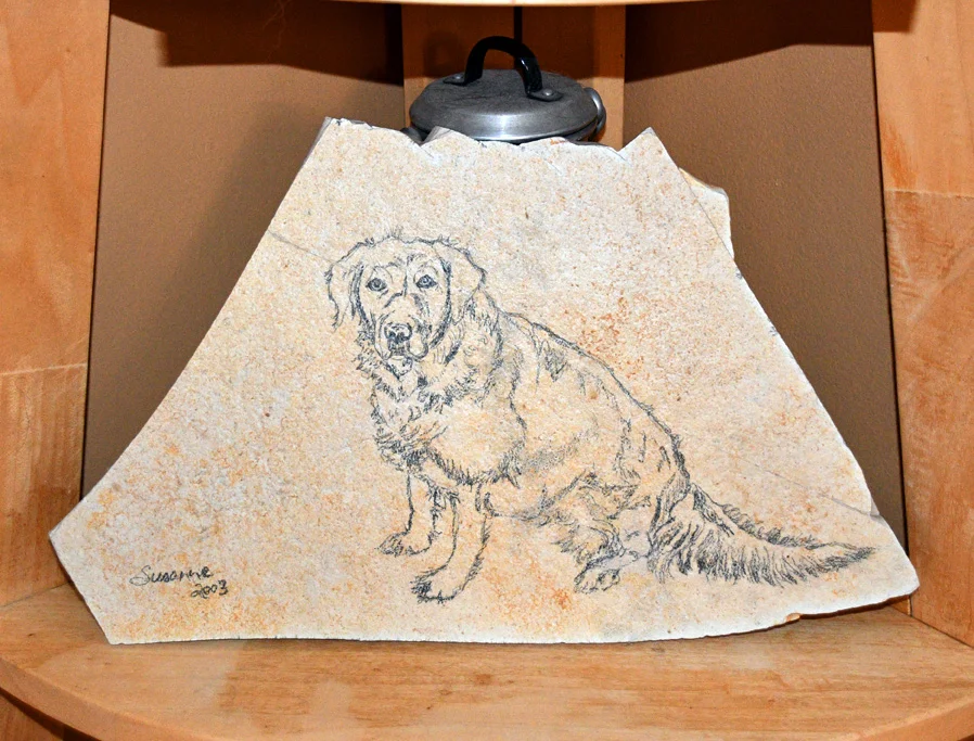 Pet Portraits - Rock, sketch