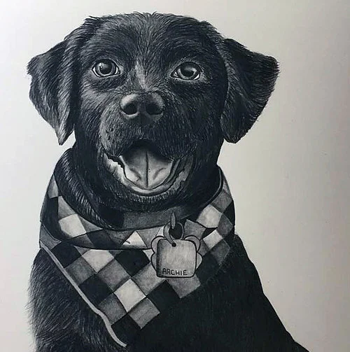 Pet Portrait, drawing