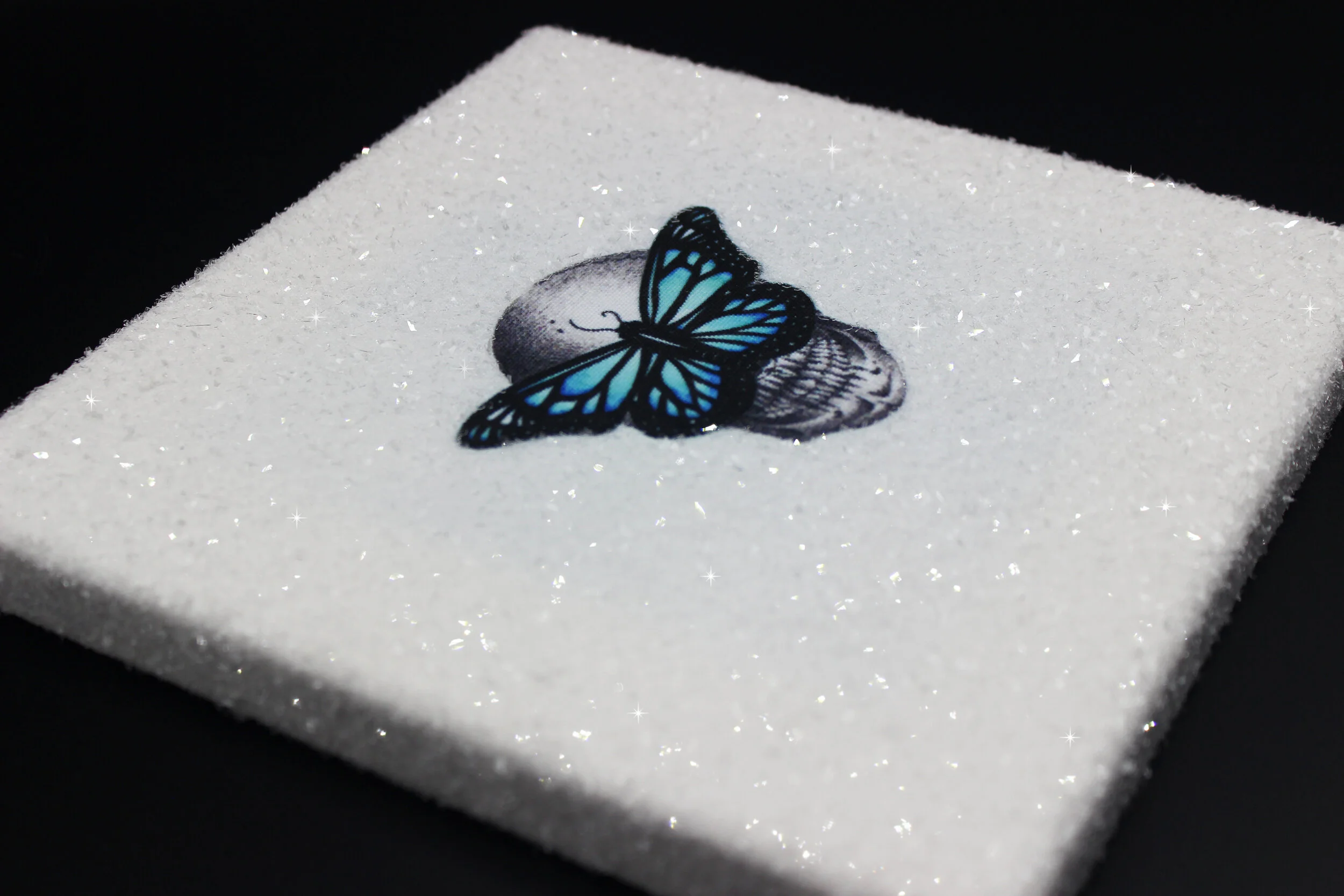 Blue DD Canvas close up .JPG