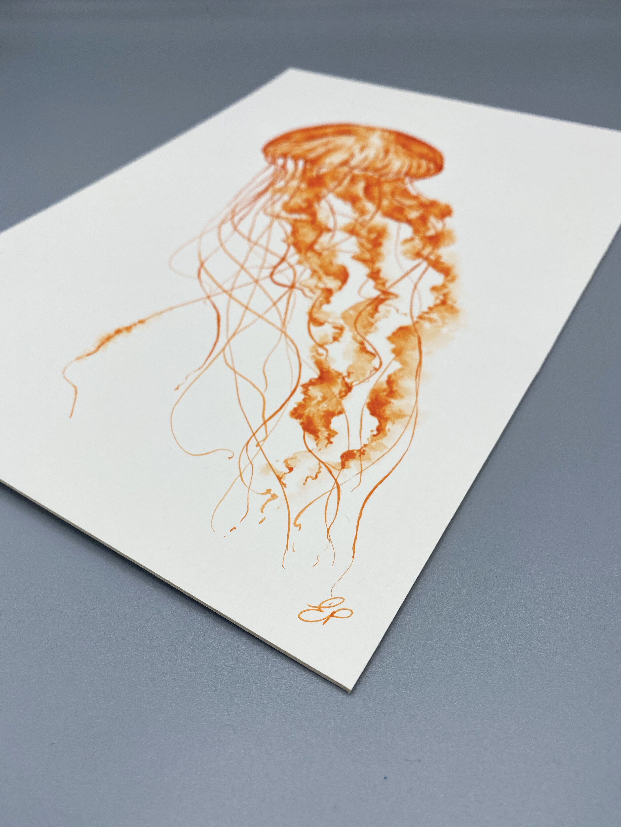 Orange Jellyfish EP.jpg