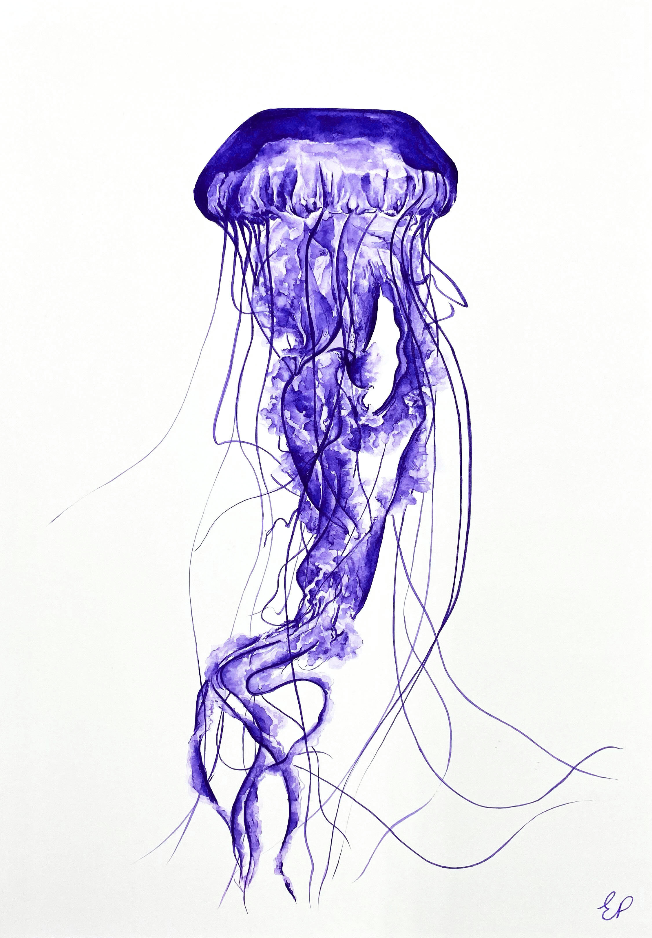 Blue Jellyfish Product Shot 2.jpg