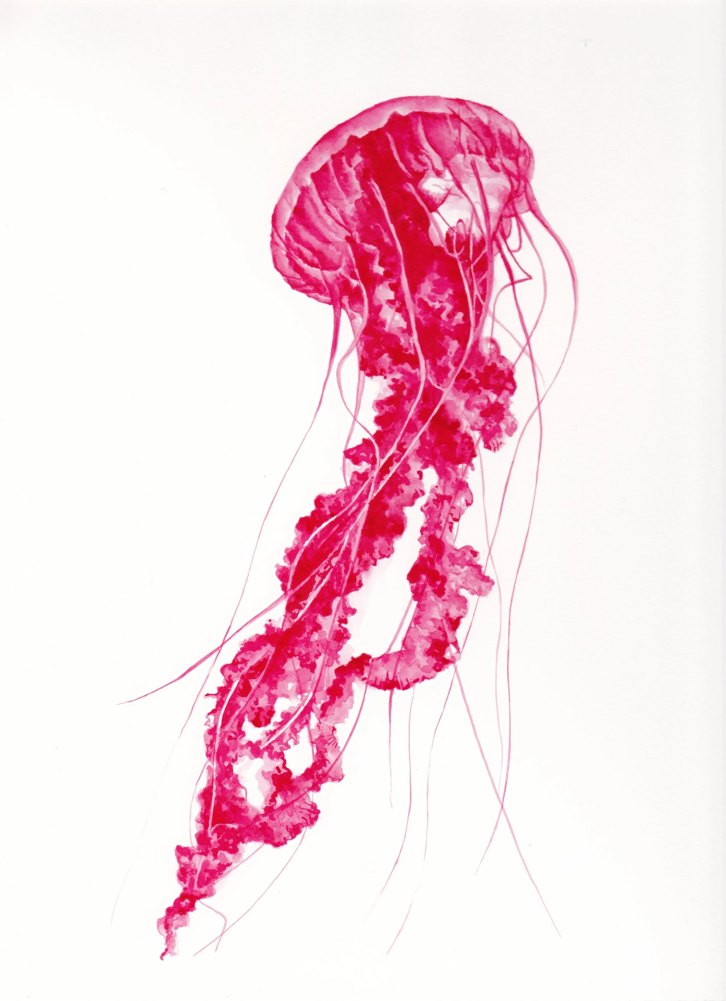 Emily Penfold - Transpicuous Soul .jpeg