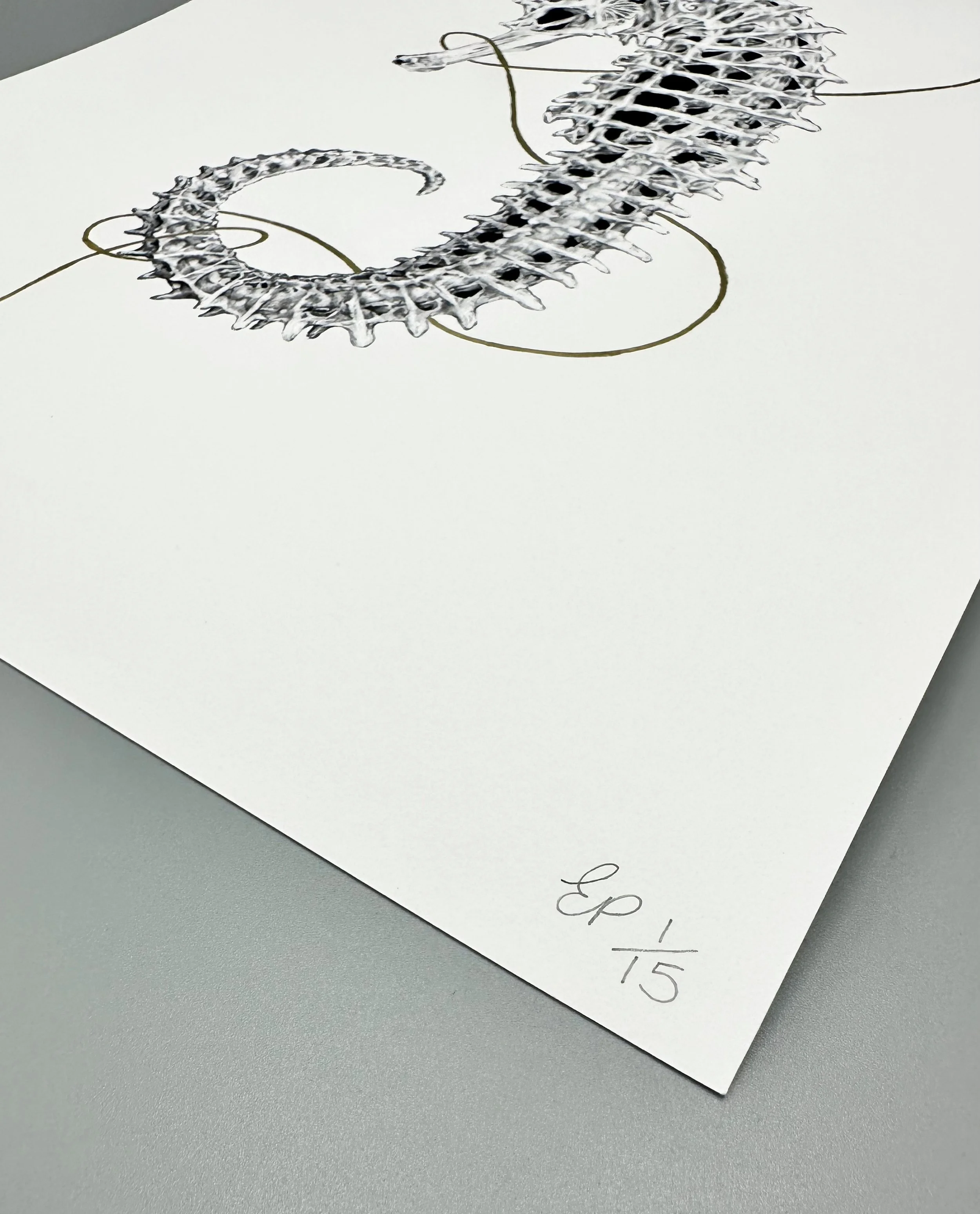 COGS signature.jpg