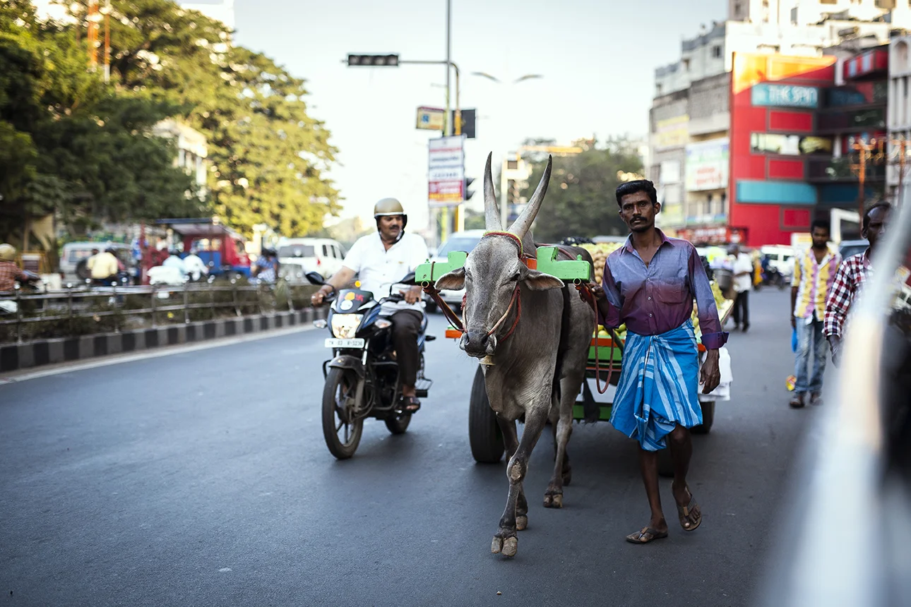 chennai_street_food.jpg