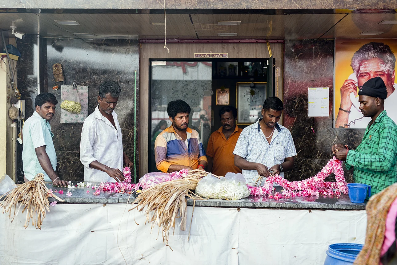 chennai_floweratall.jpg
