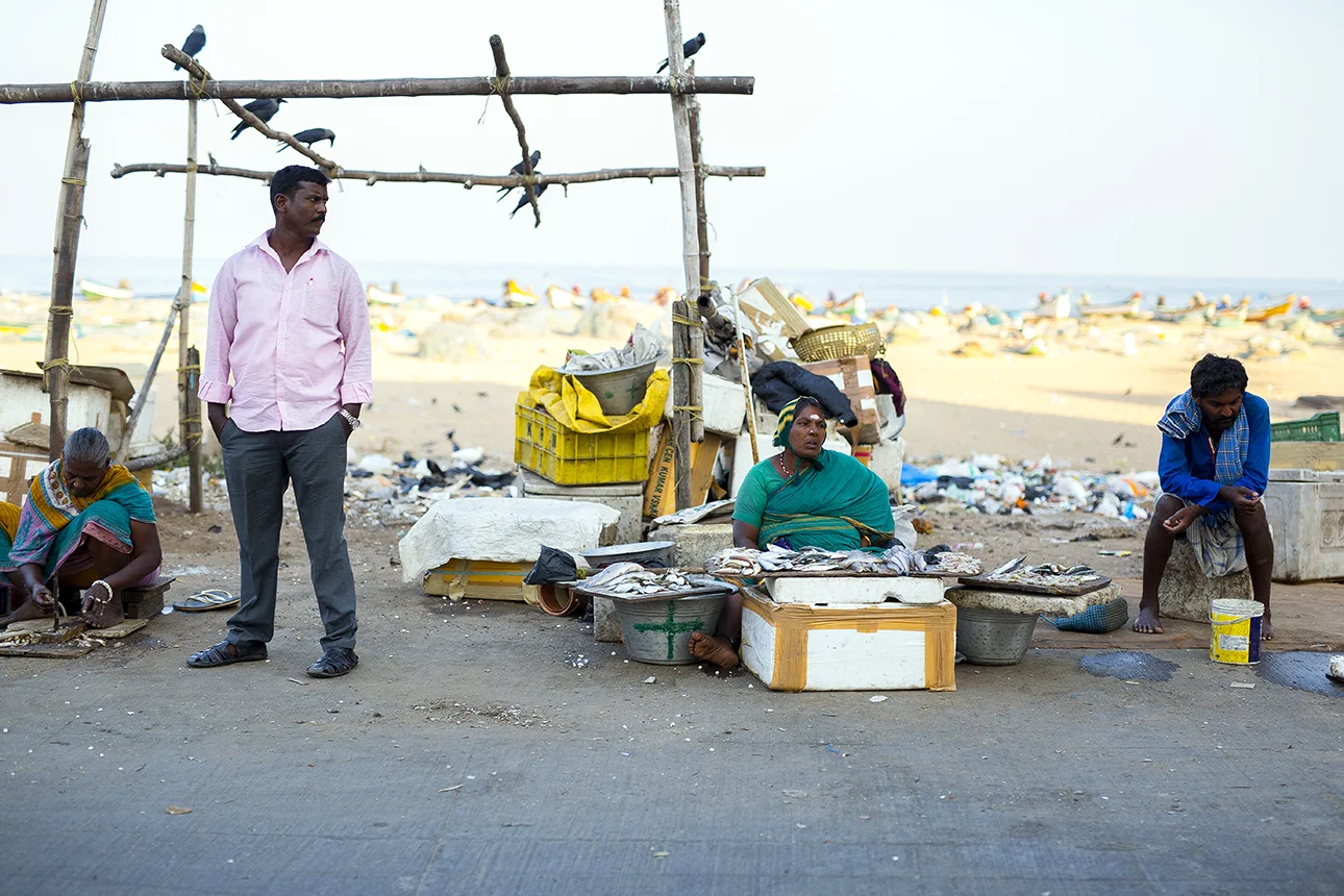 chennai_waterfront_fishmarket.jpg