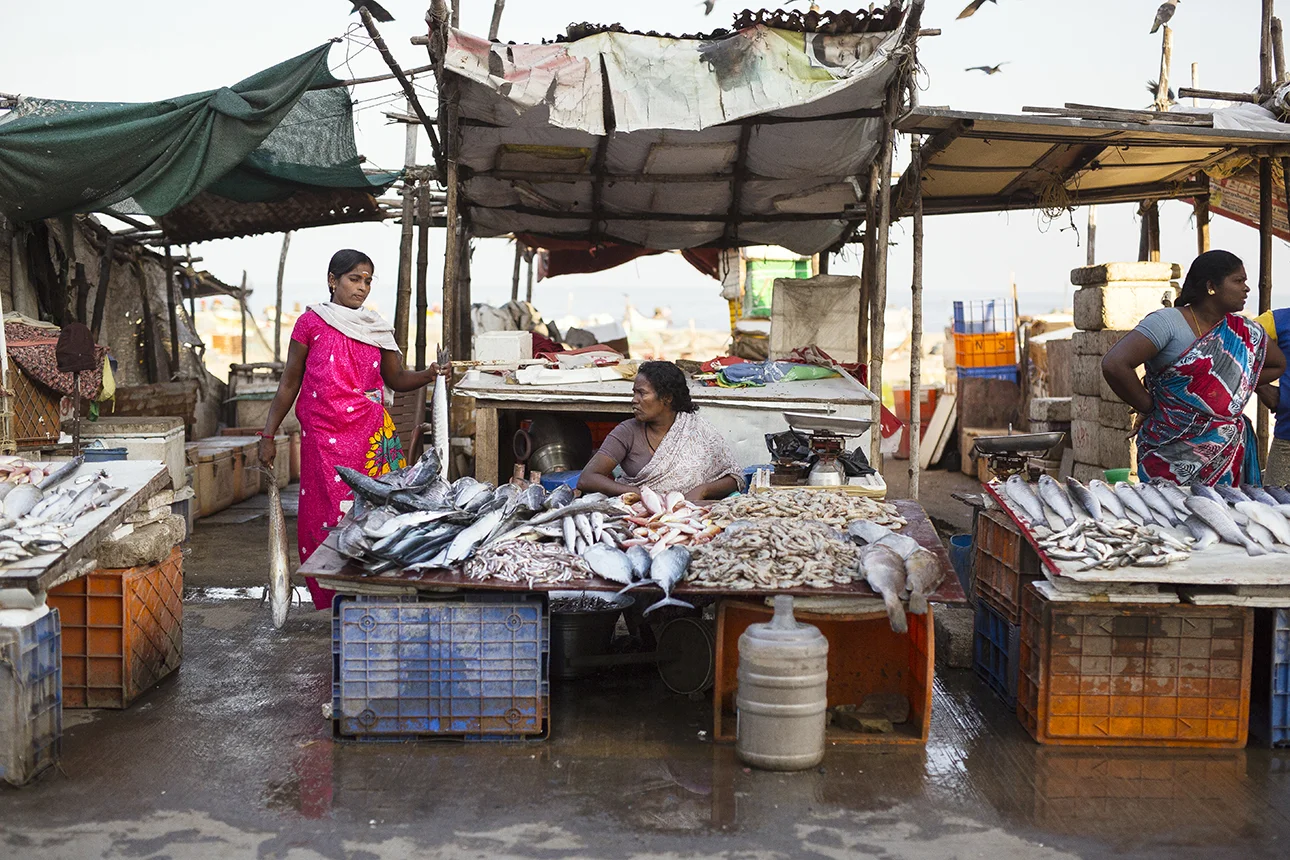 fish_market_chennai.jpg