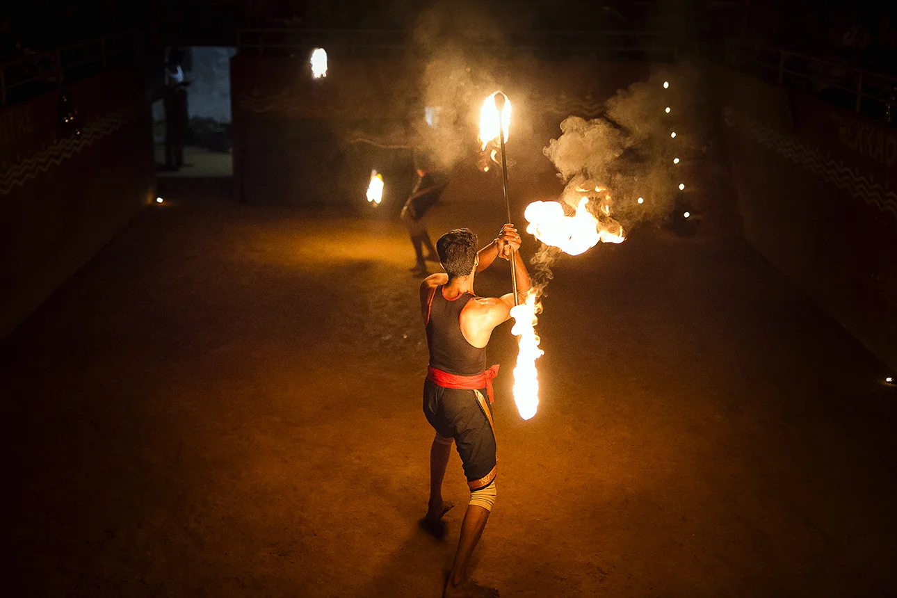 Thekkady_firesticks_periyar_002.jpg