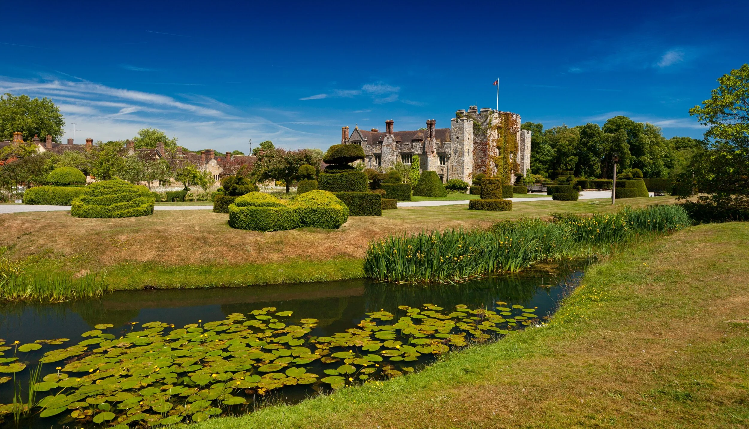 MOVIES UNDER THE STARS