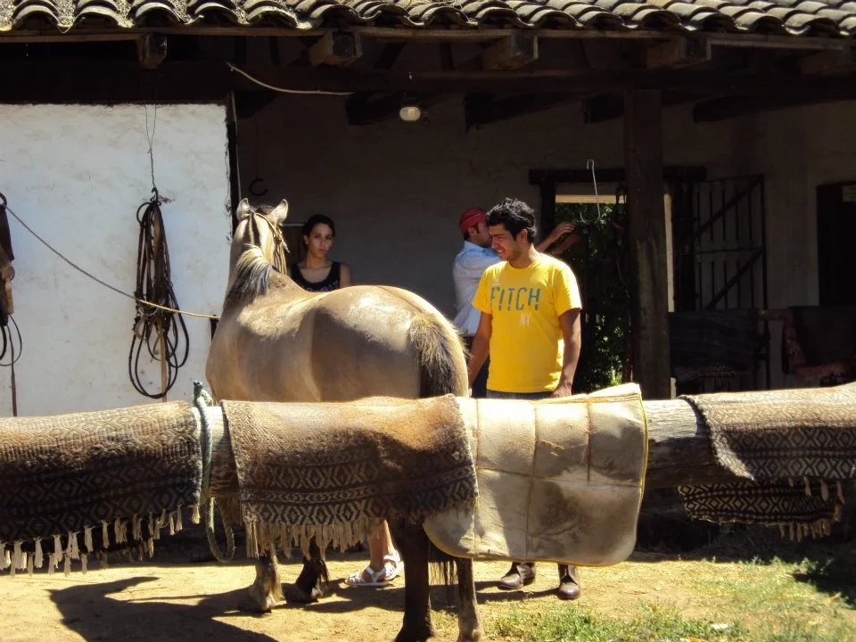 FARM STAY IN PARAQUAY