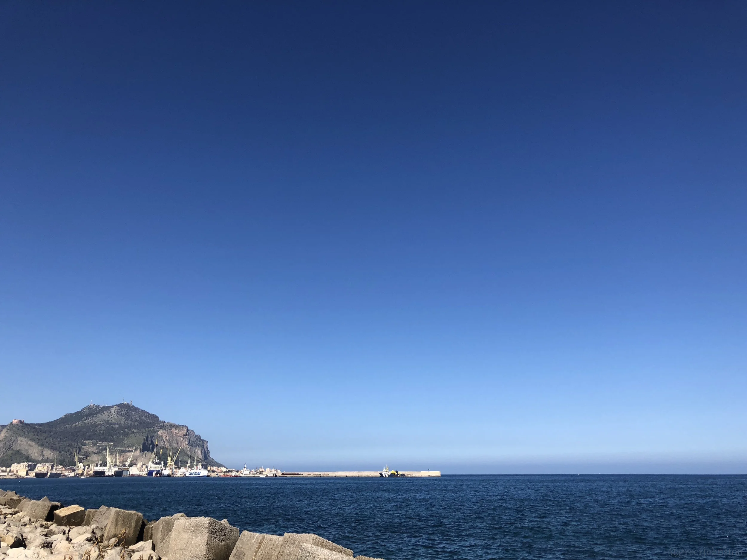 On my recent sojourn in Palermo, I walked by the sea almost everyday, which allowed me to meet the other regulars