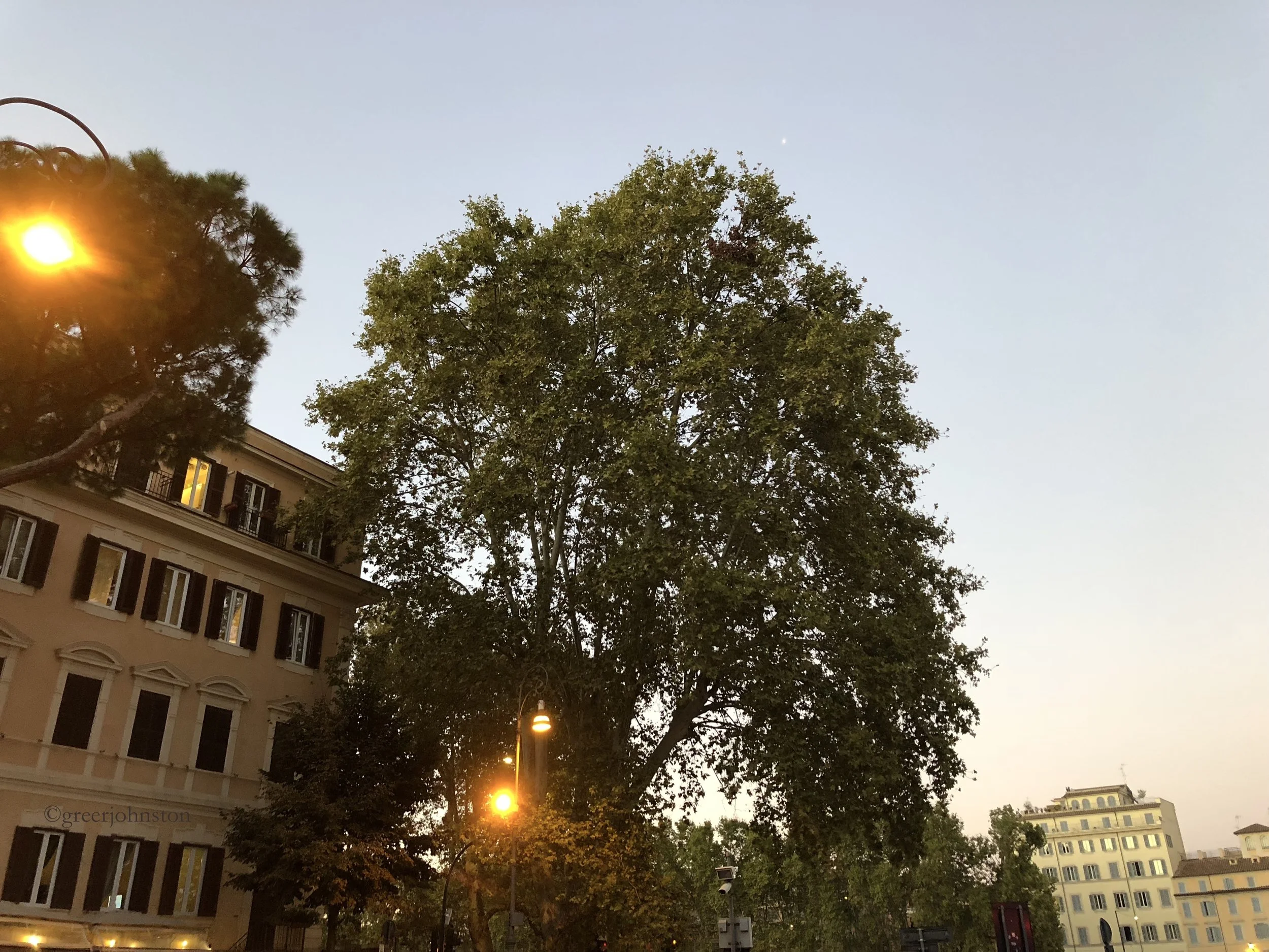 The sunset from the steps of Piazza Trilussa