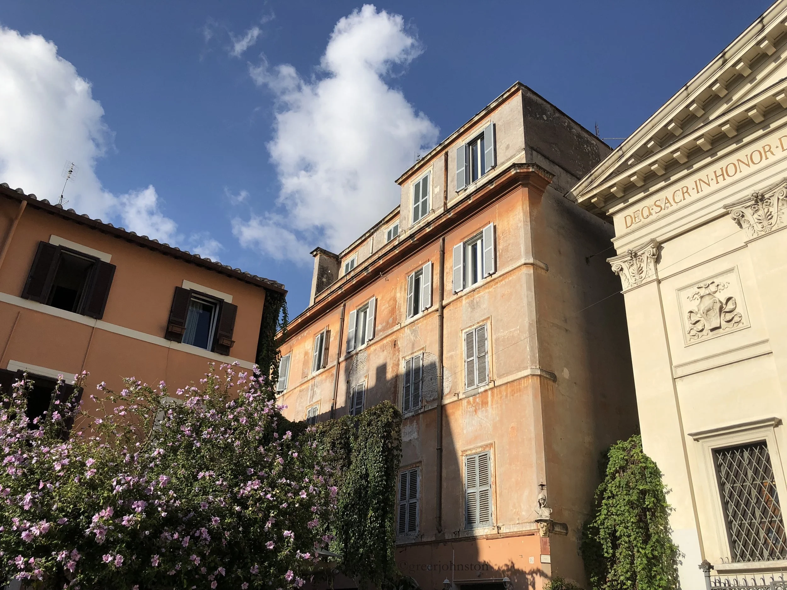 Trastevere in bloom