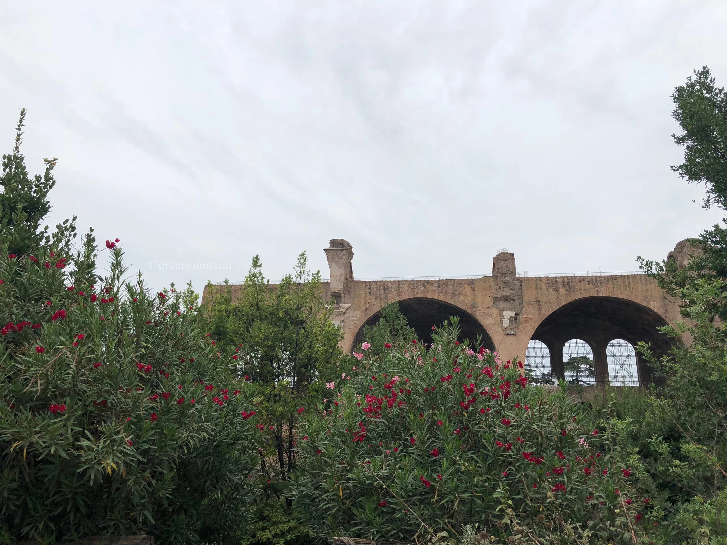 Walking through the Forum also offers the chance to connect with nature.