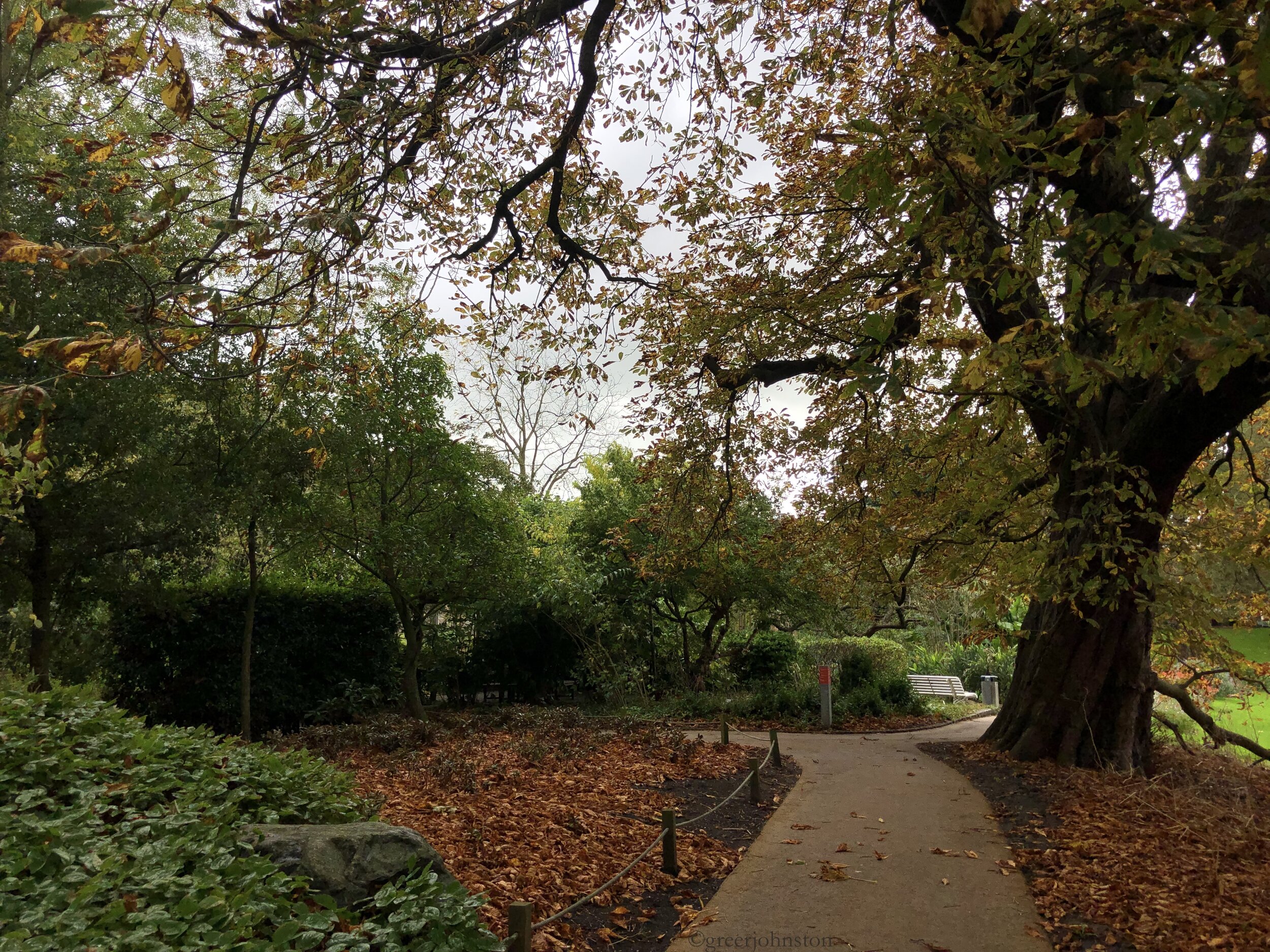 A stroll through the Hortus bontanicus Leiden