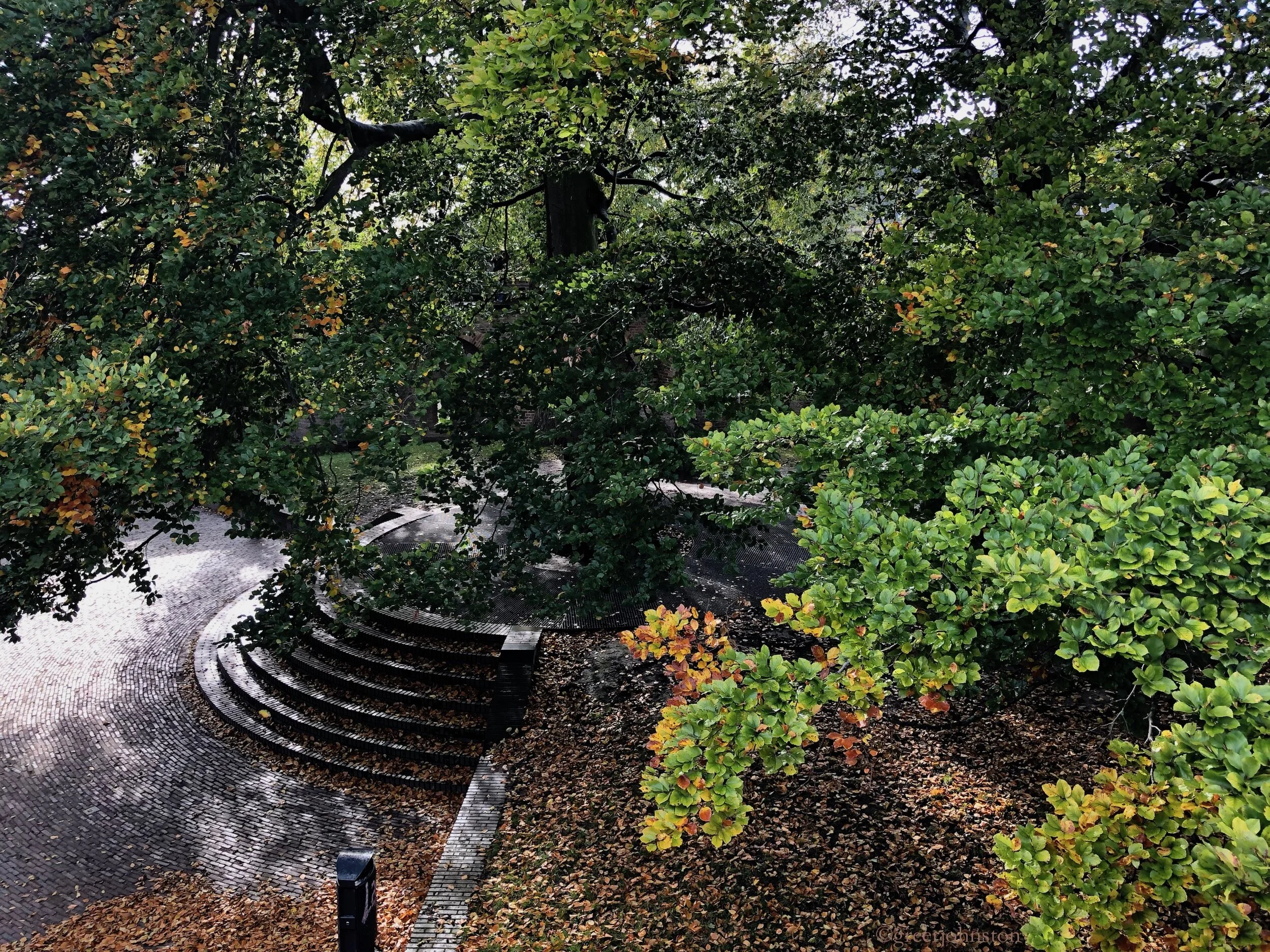 The view from above the Burcht van Leiden