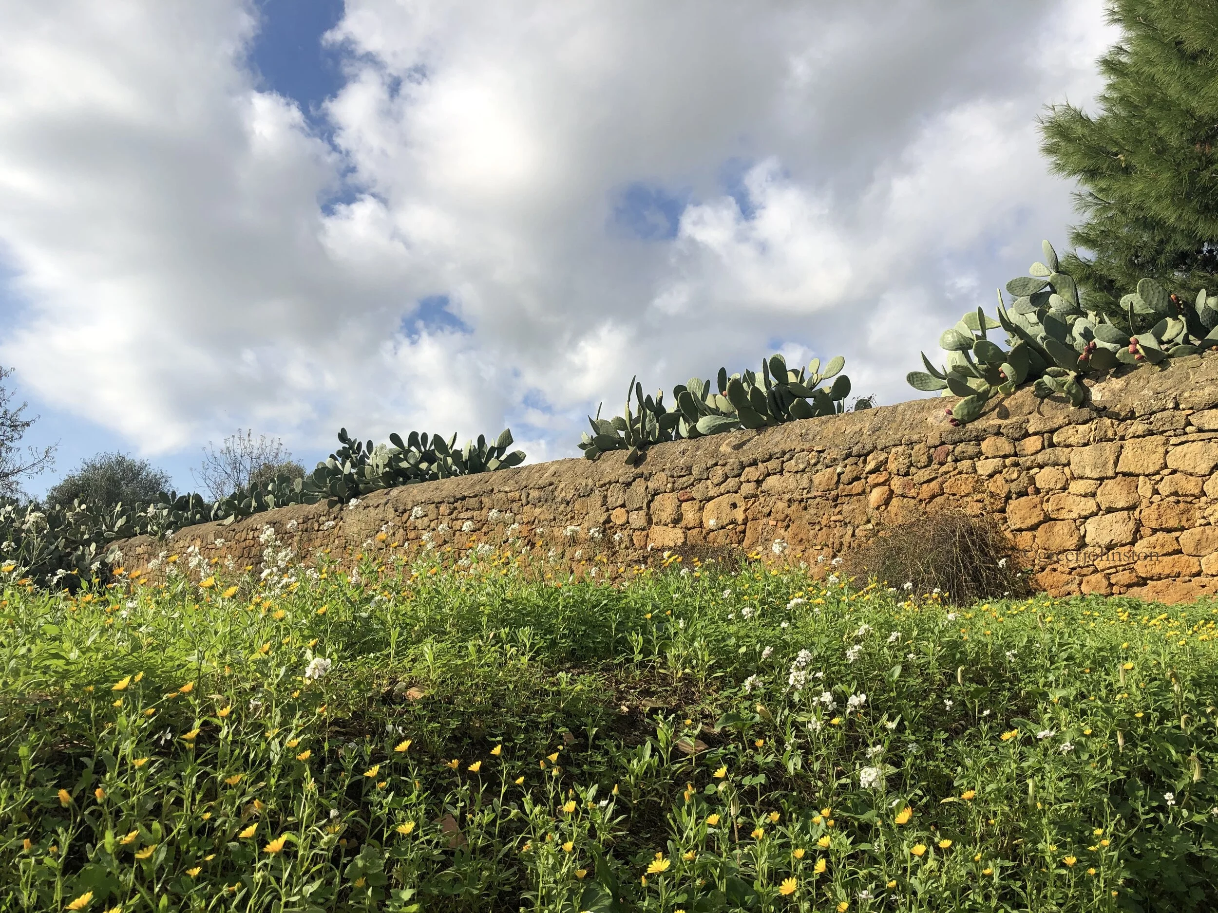 Near La Valle dei Tempi